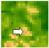 Sustainability 14 09735 i052