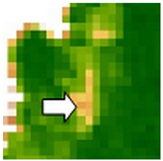 Sustainability 14 09735 i053