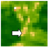 Sustainability 14 09735 i057