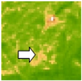 Sustainability 14 09735 i058