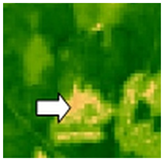 Sustainability 14 09735 i060