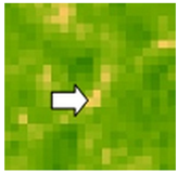 Sustainability 14 09735 i063