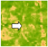 Sustainability 14 09735 i064