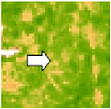 Sustainability 14 09735 i065