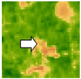 Sustainability 14 09735 i066