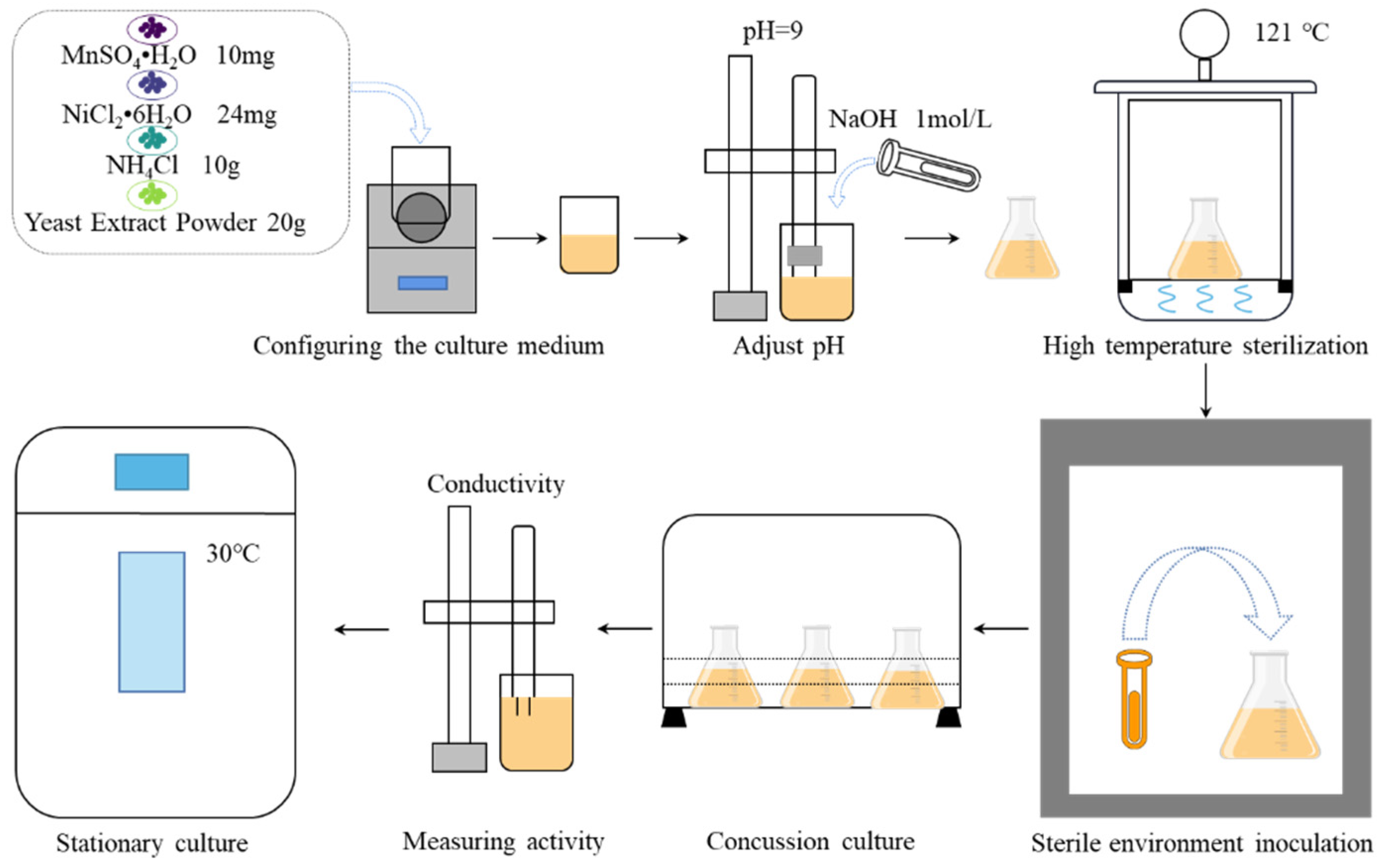 Sustainability 14 09748 g001