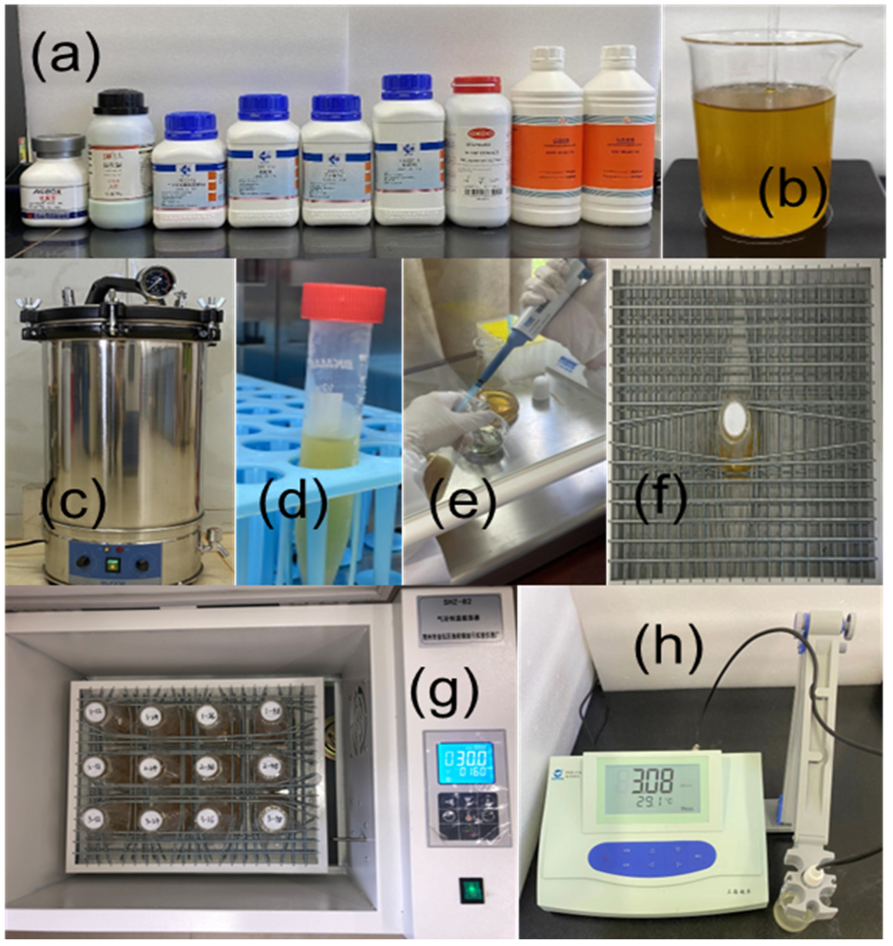 Sustainability 14 09748 g002