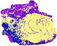 Sustainability 14 09810 i015