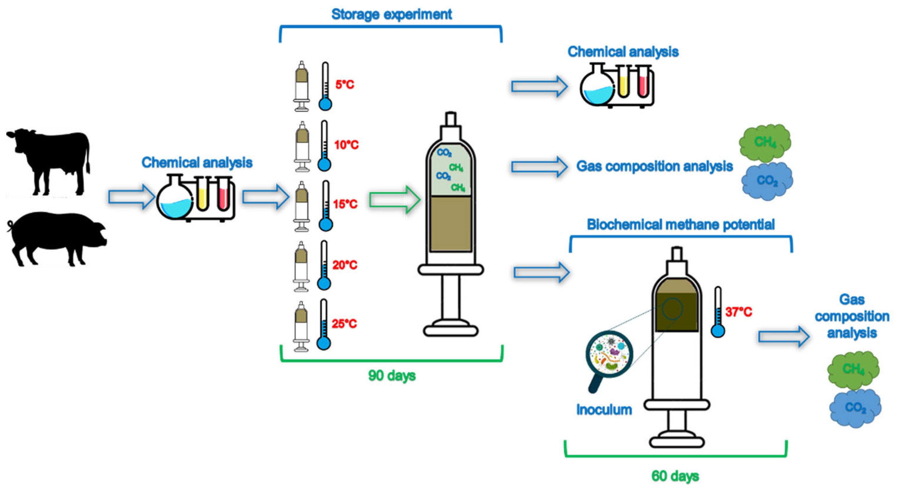 Sustainability 14 09934 g001