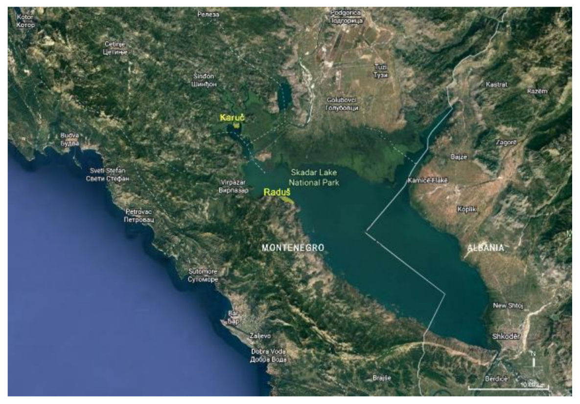 Sustainability 14 09956 g001