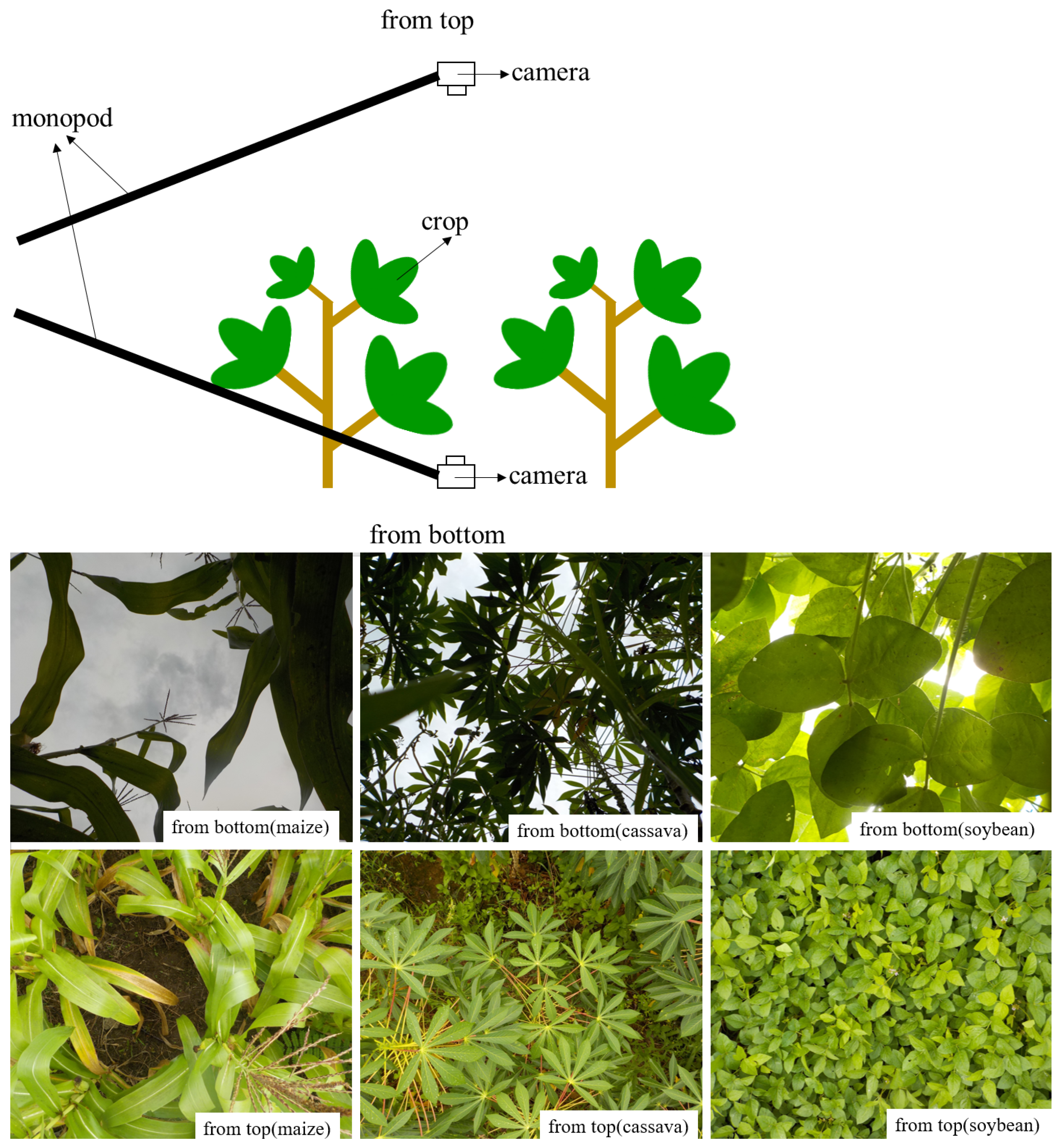 Sustainability 14 10007 g001