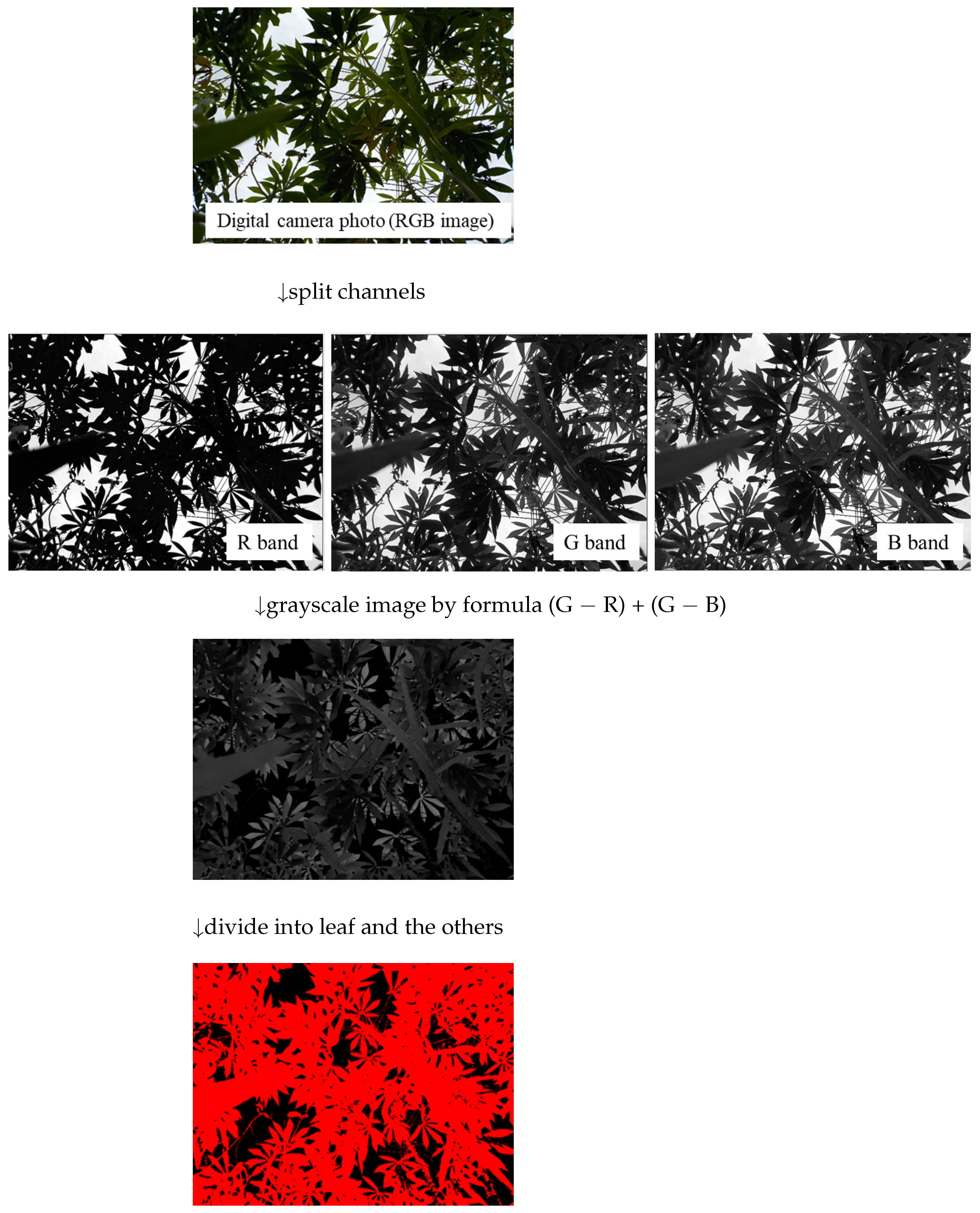 Sustainability 14 10007 g002