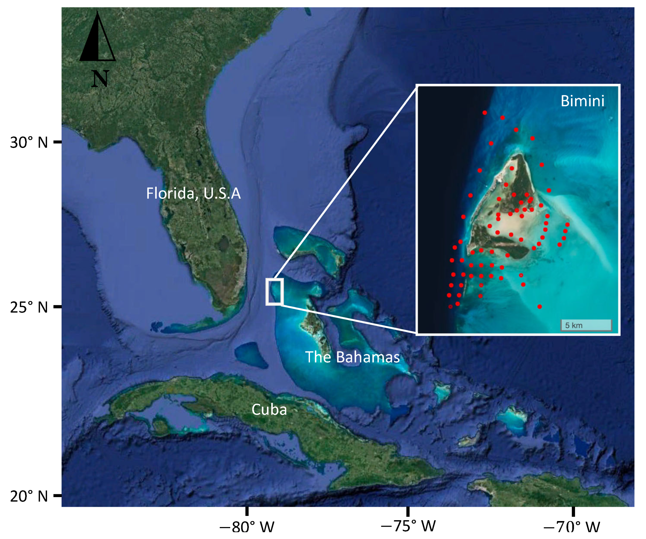 Sustainability 14 10017 g001