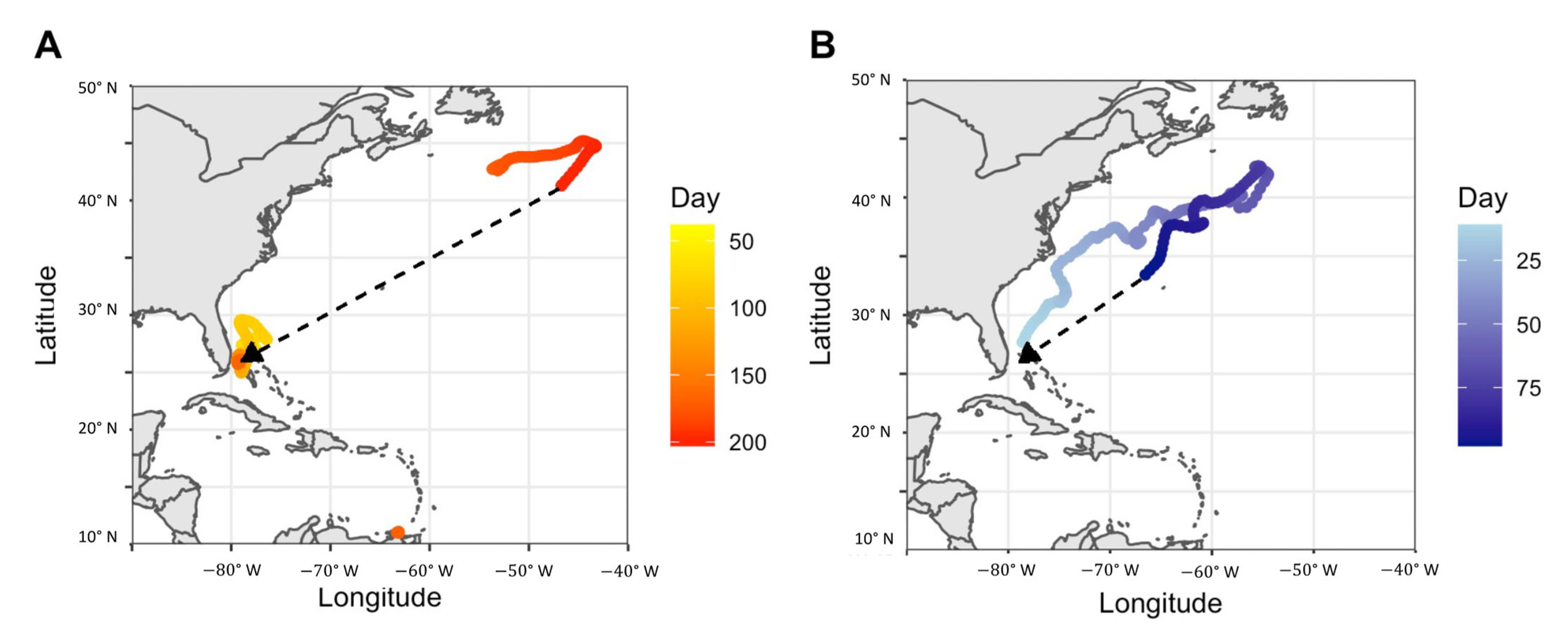 Sustainability 14 10017 g008