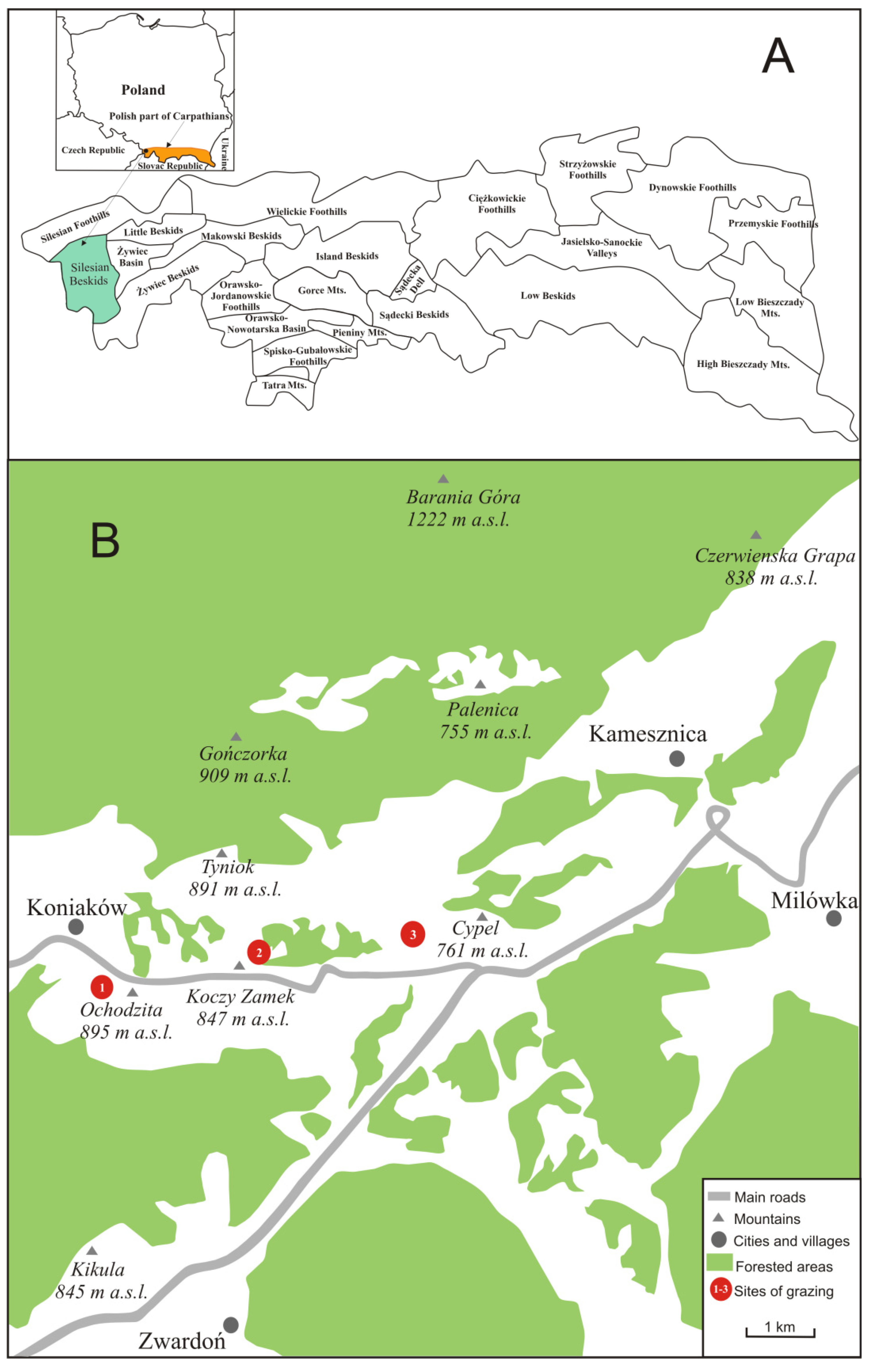 Sustainability 14 10020 g001