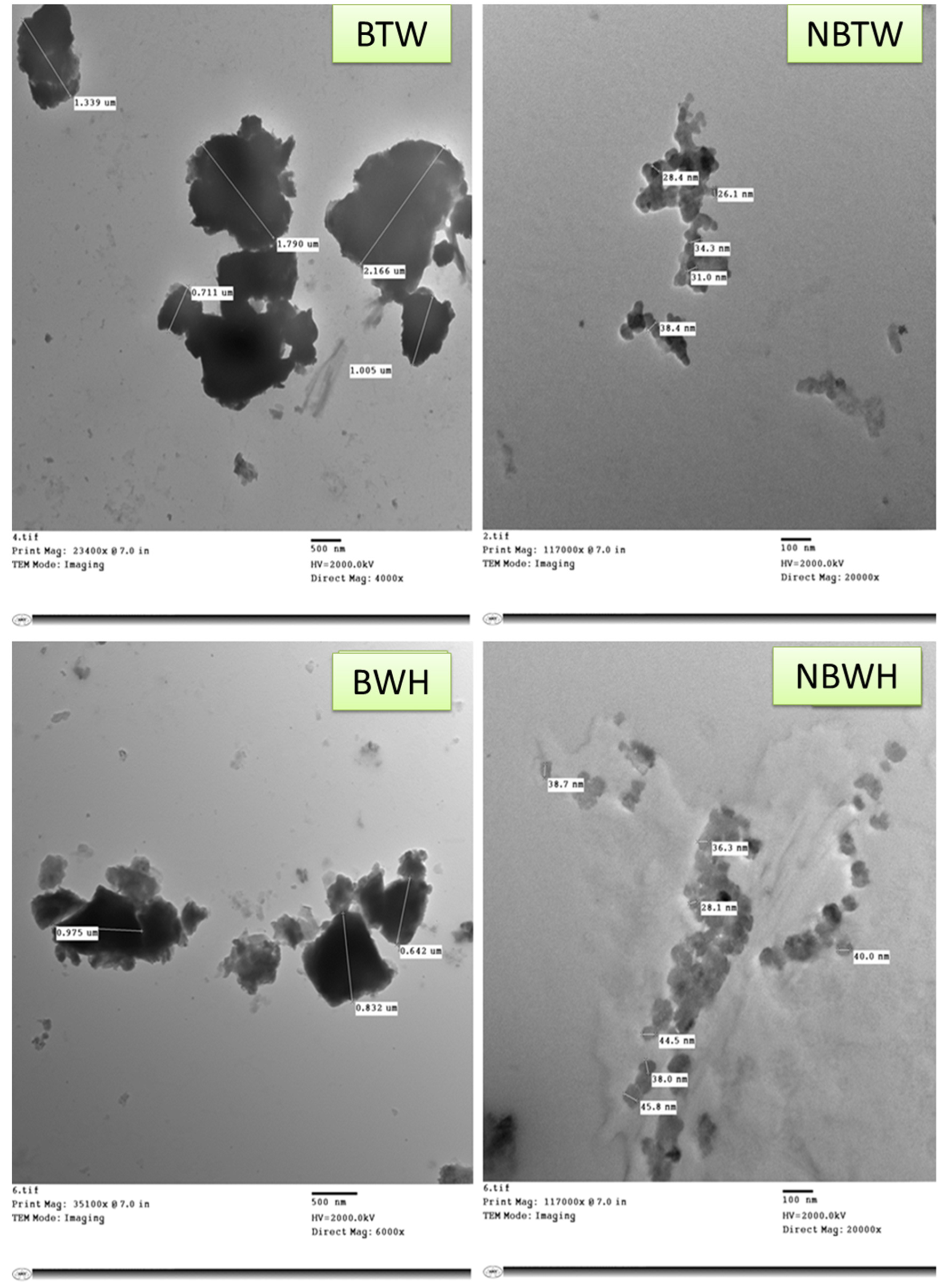 Sustainability 14 10118 g001