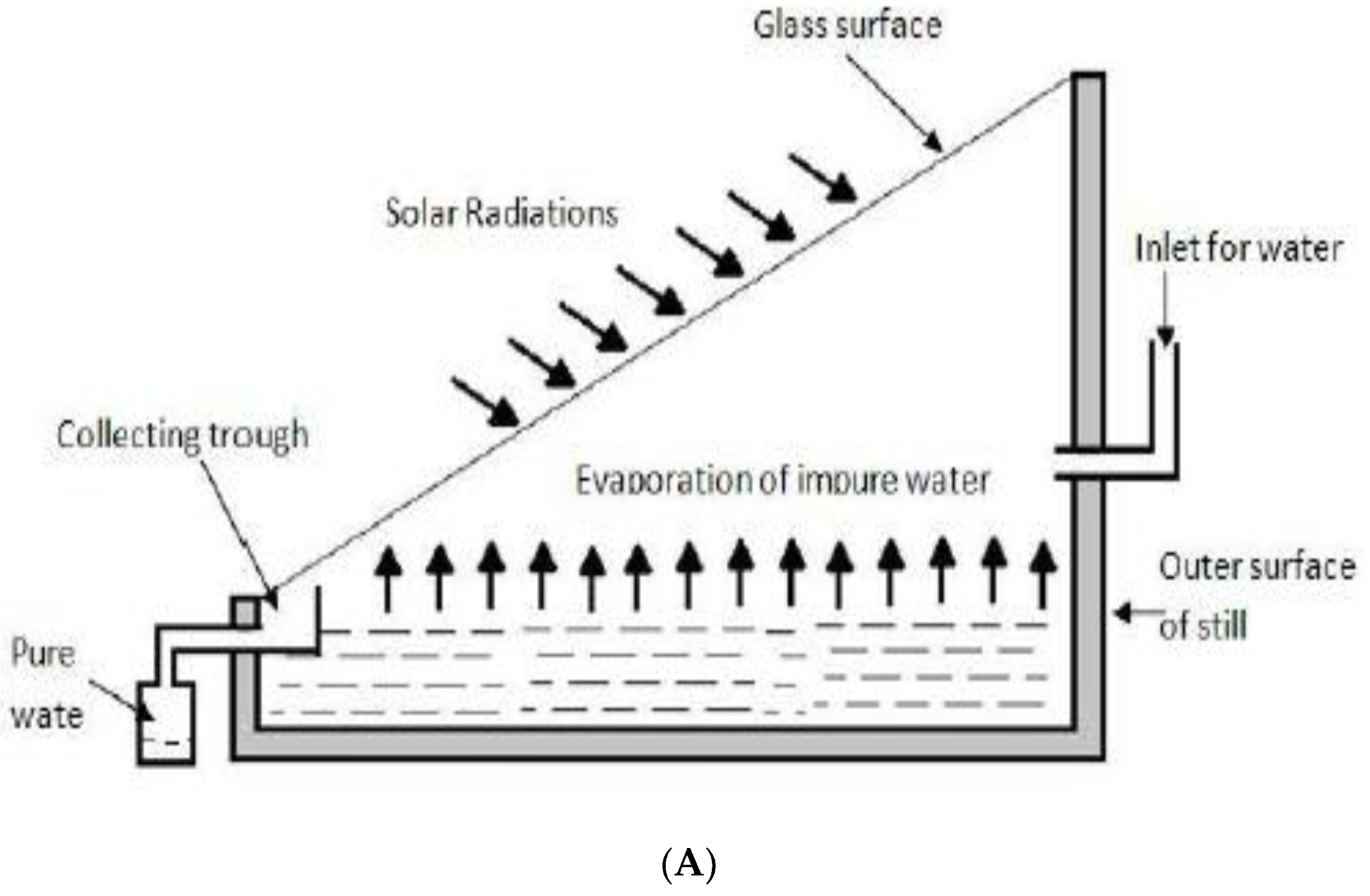 Sustainability 14 10136 g001a