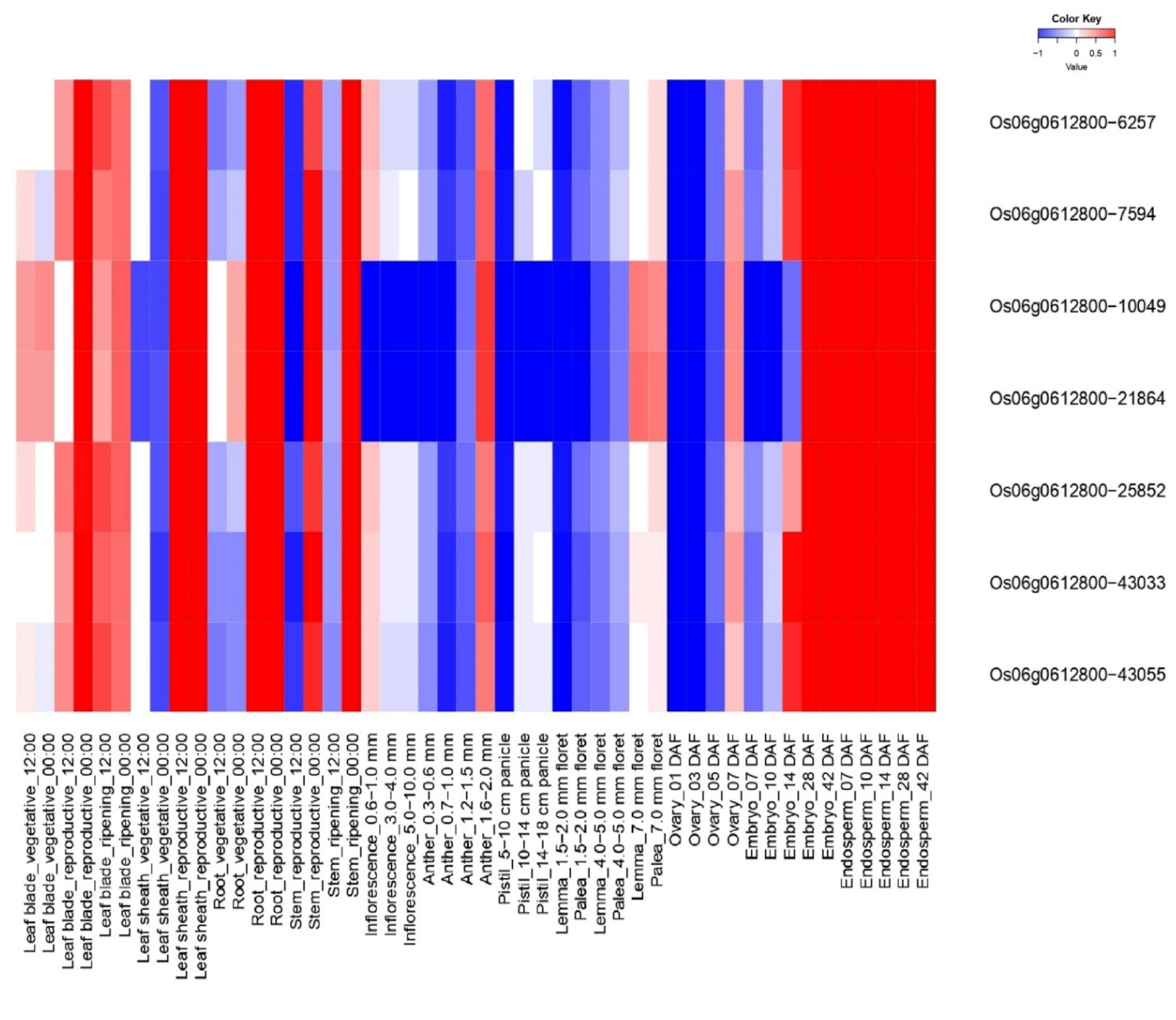Sustainability 14 10174 g001