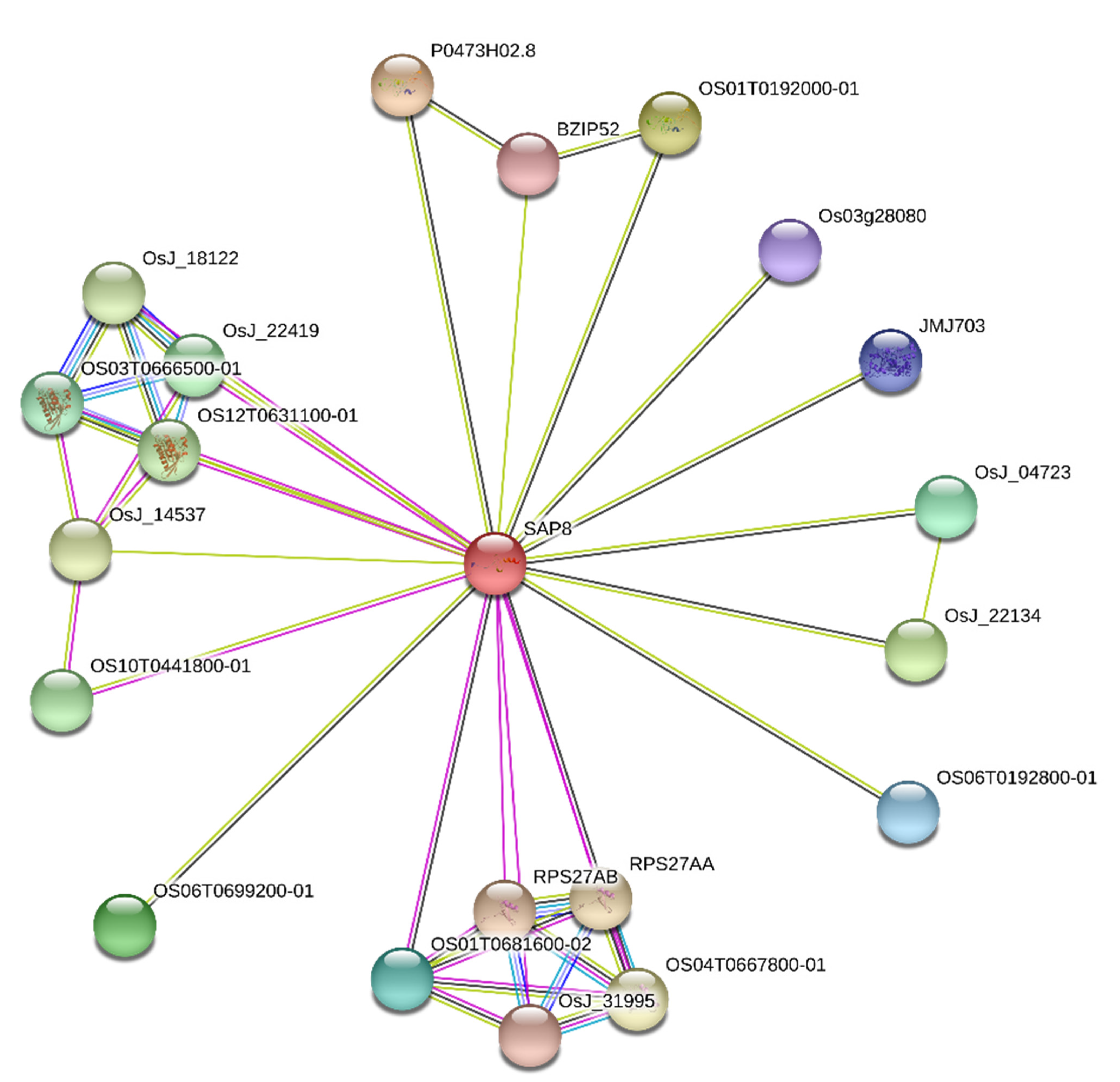 Sustainability 14 10174 g004