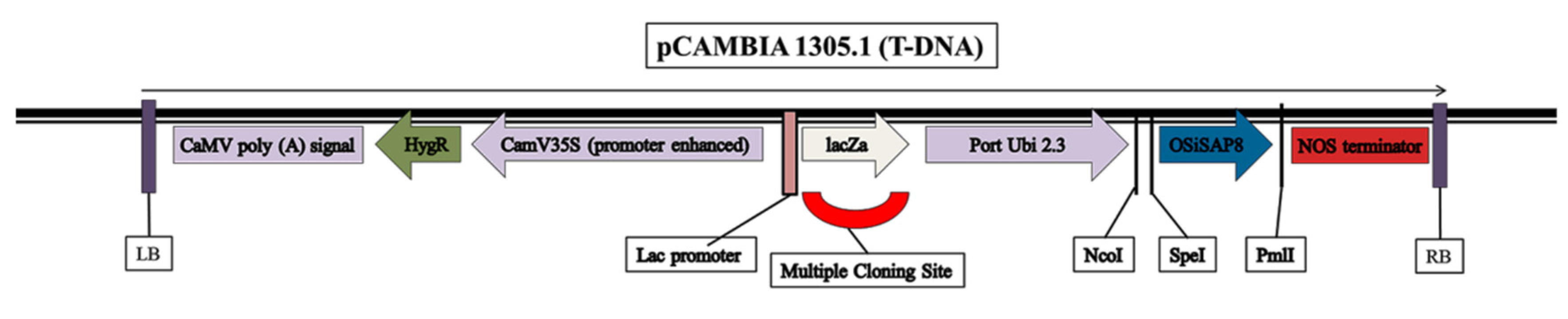 Sustainability 14 10174 g006
