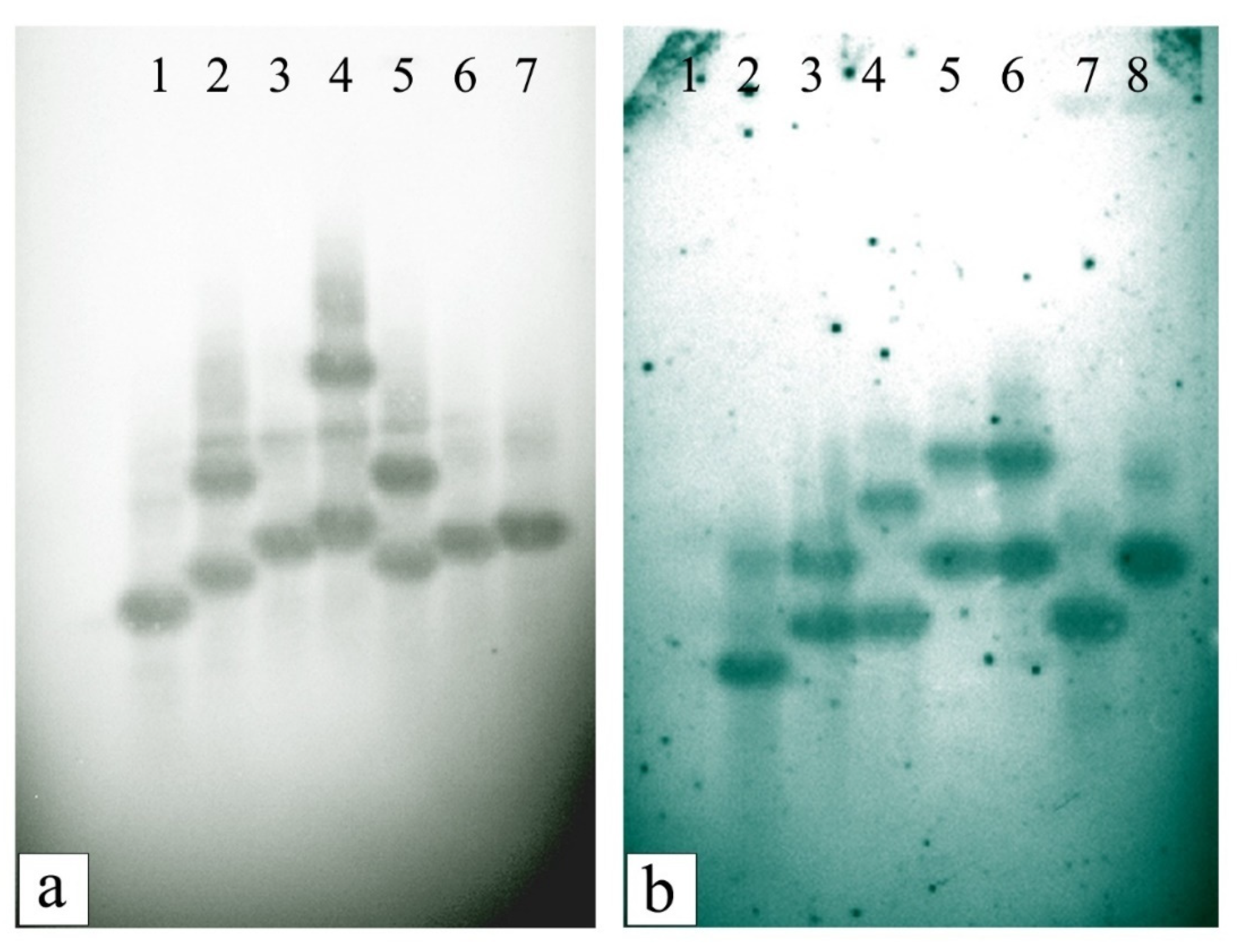 Sustainability 14 10174 g009