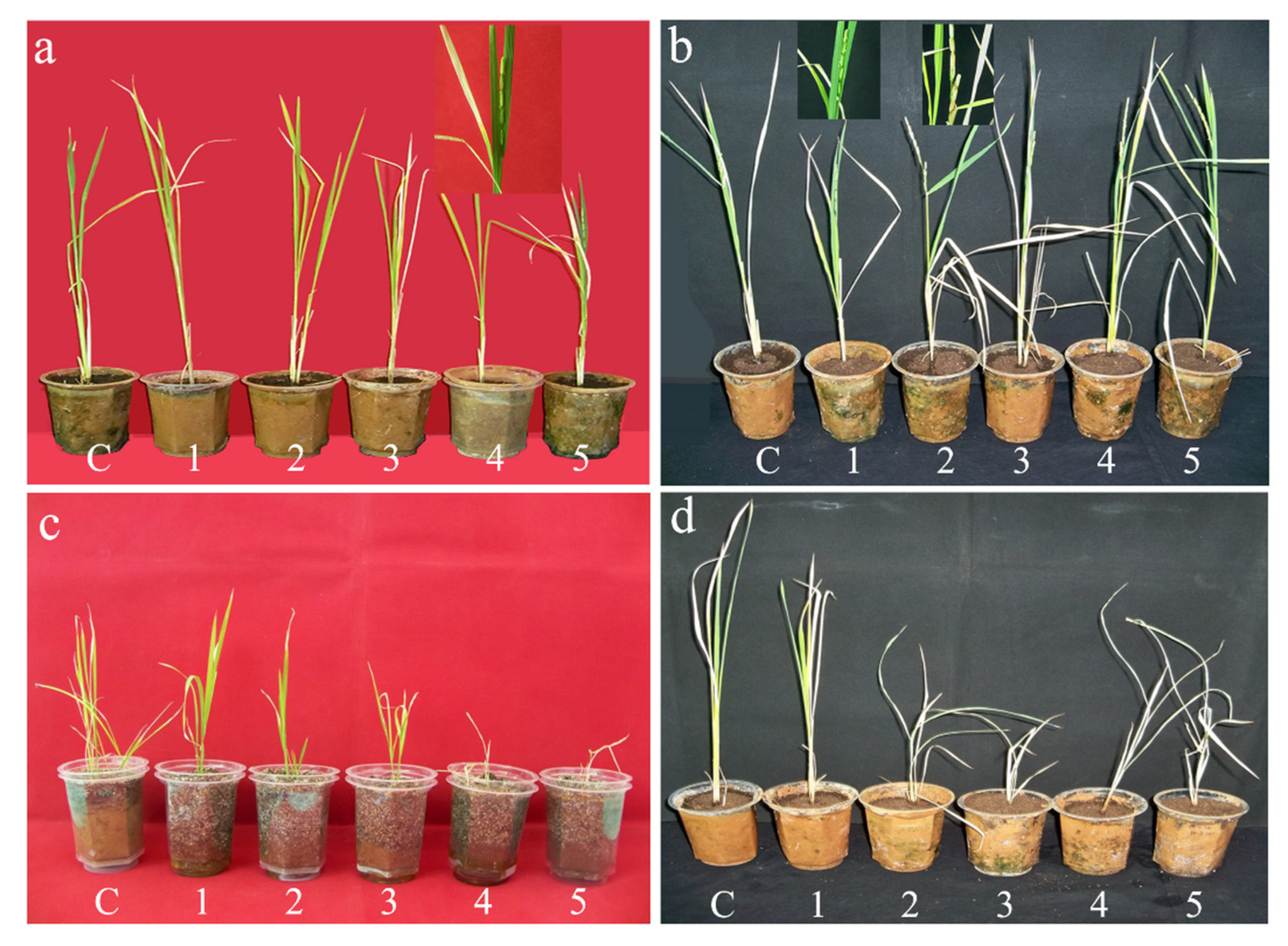 Sustainability 14 10174 g011