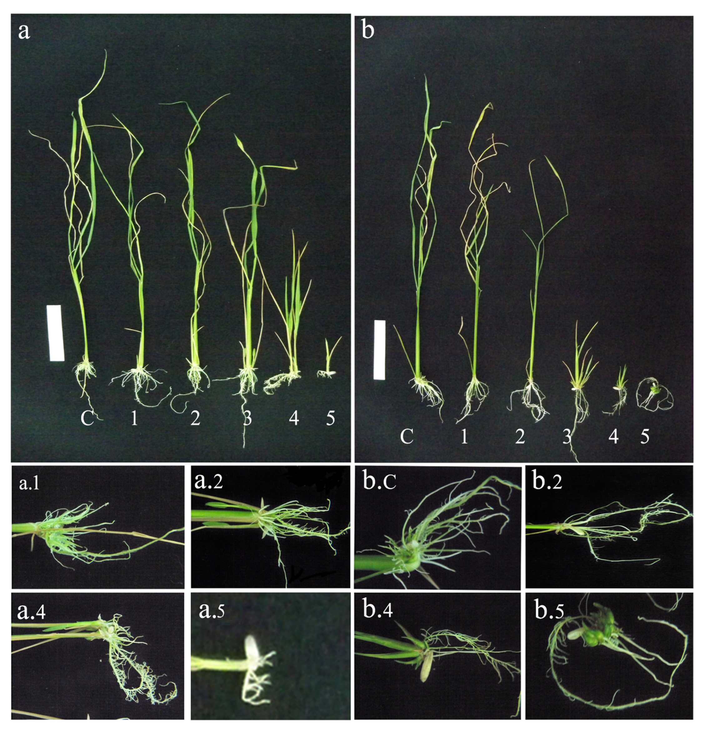 Sustainability 14 10174 g014
