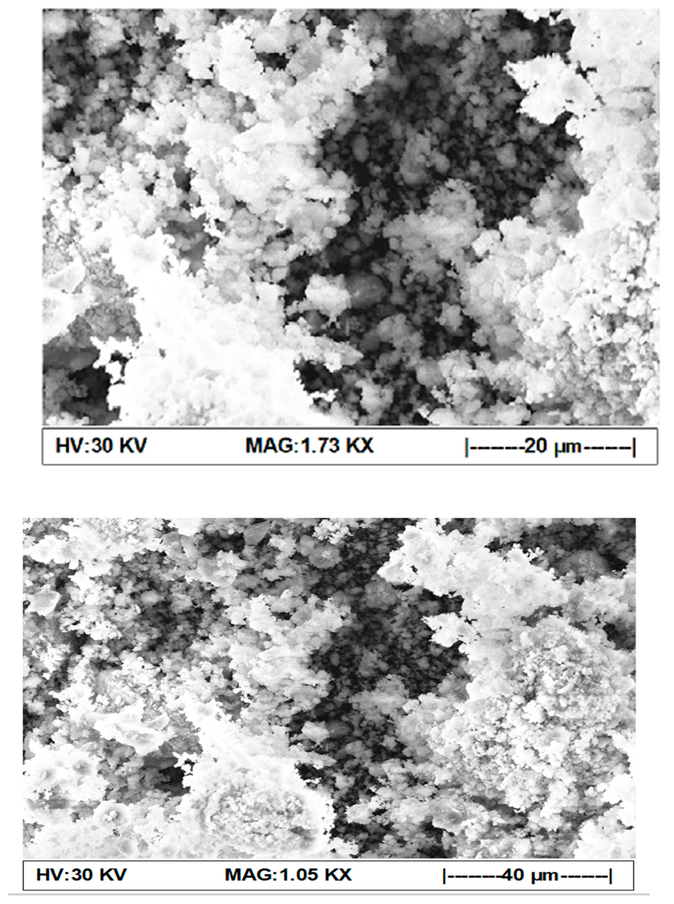 Sustainability 14 10188 g002