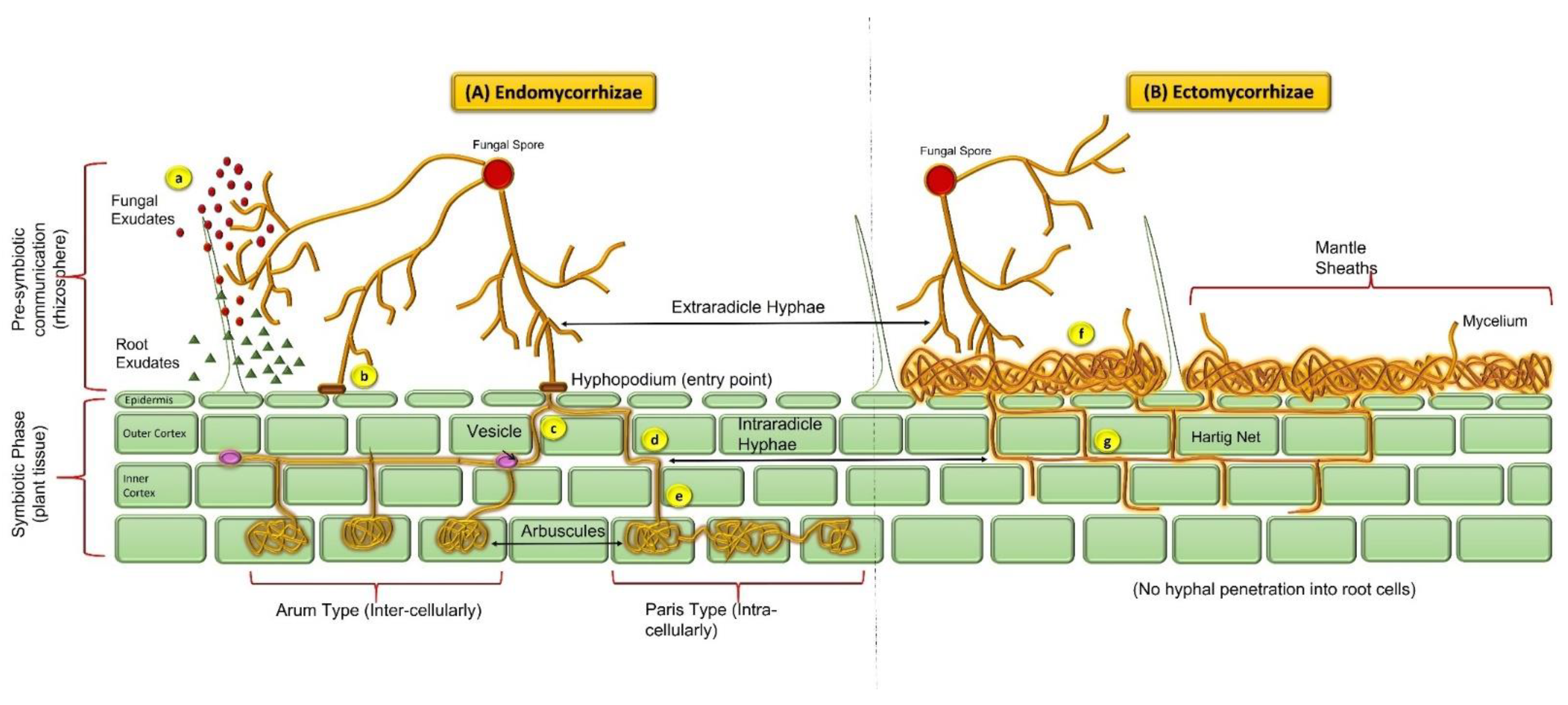 Sustainability 14 10220 g001