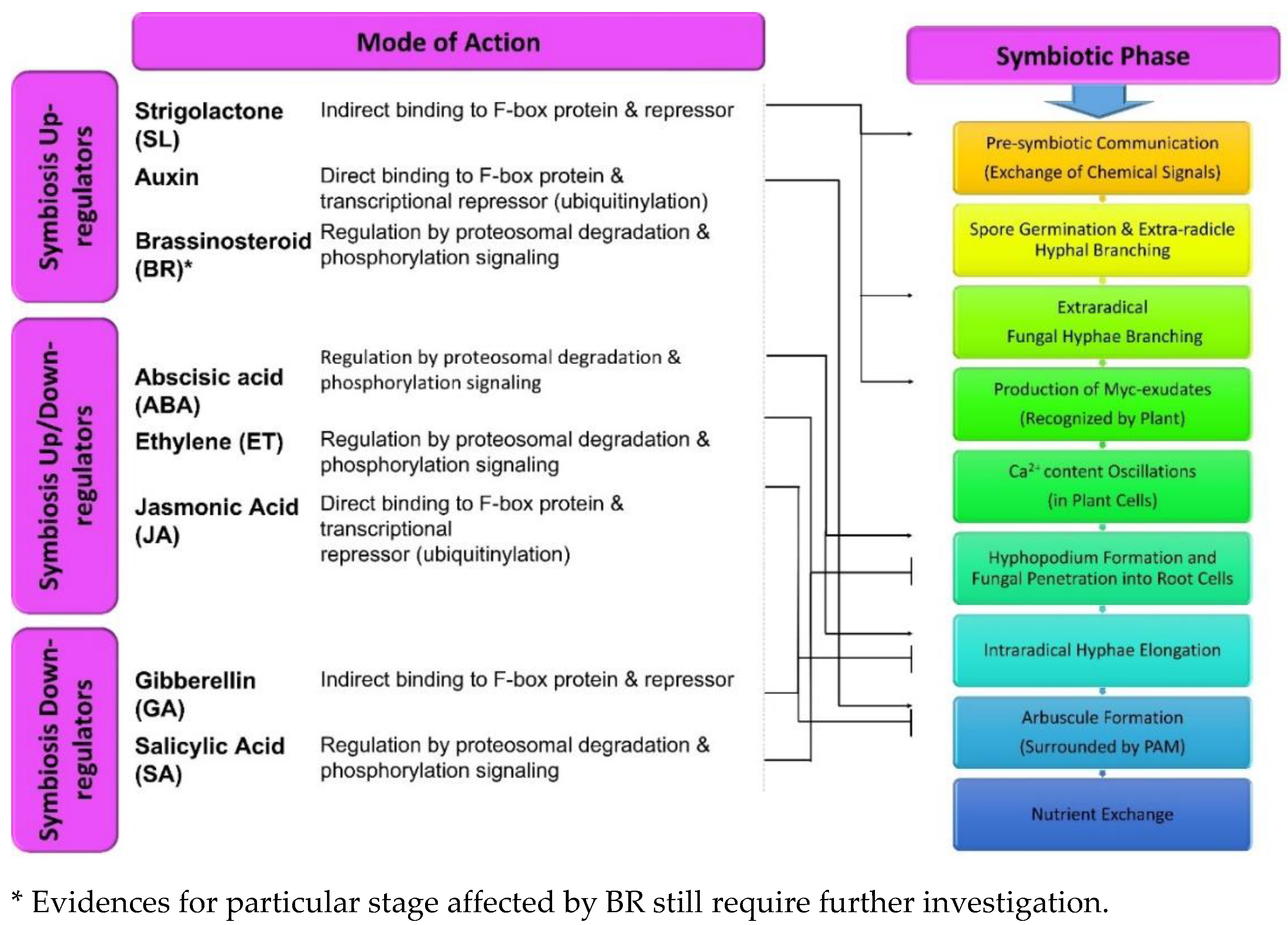 Sustainability 14 10220 g002