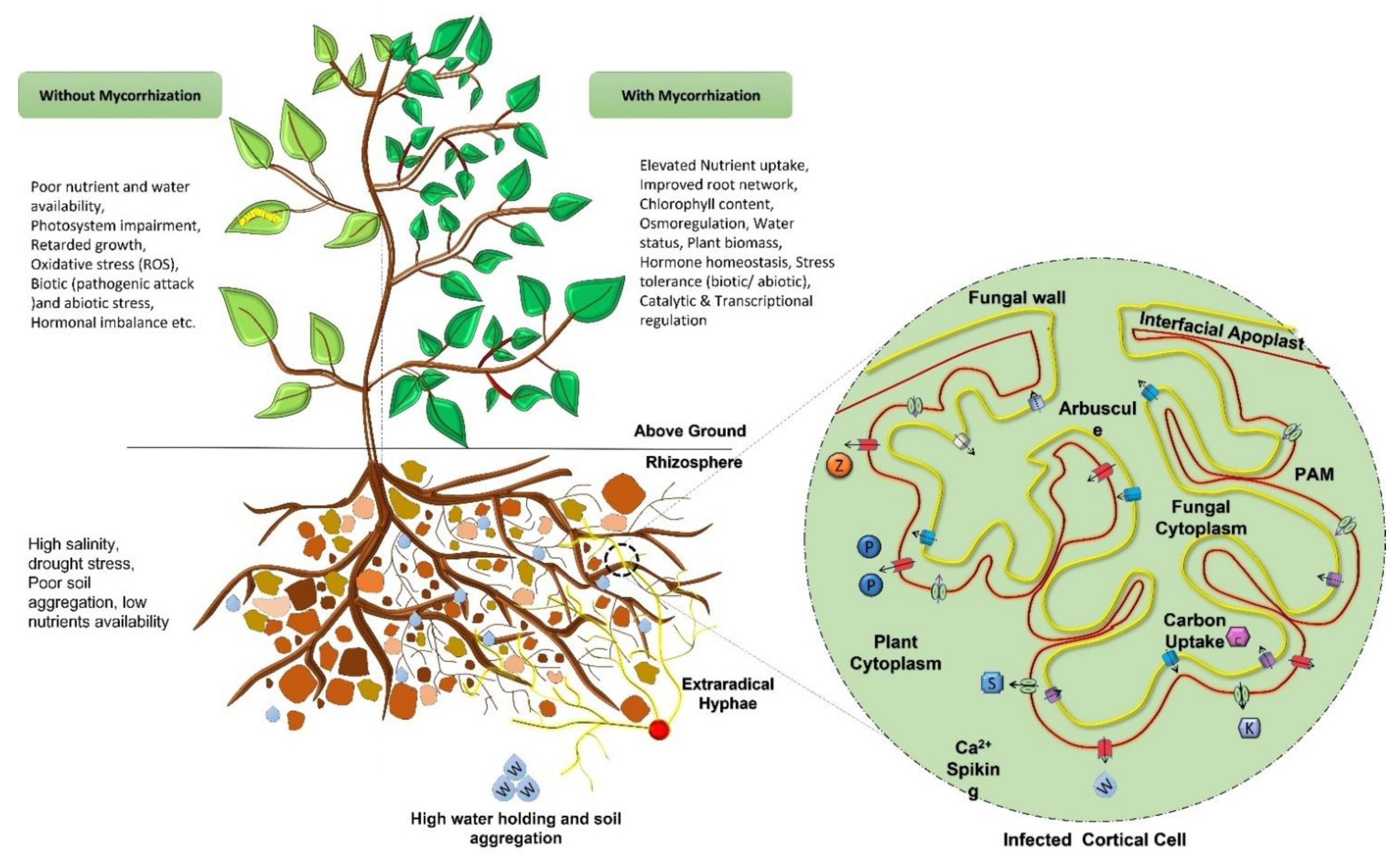 Sustainability 14 10220 g003