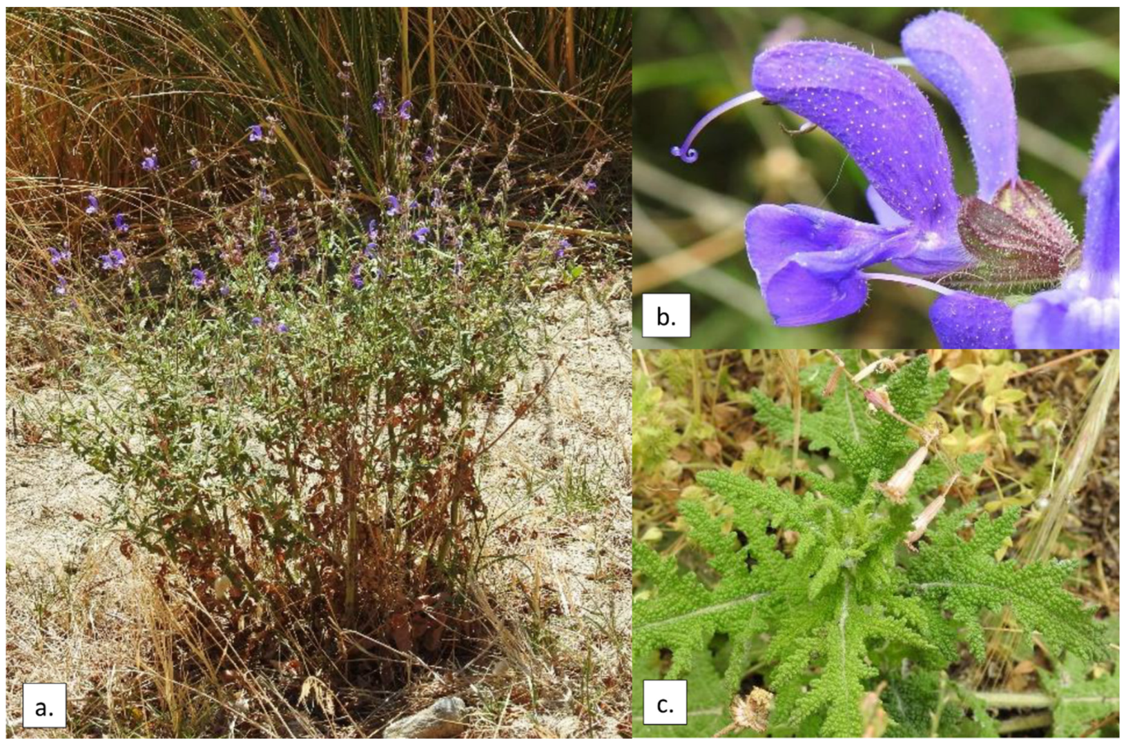 Sustainability 14 10295 g001 Sustainability 14 10295 g001