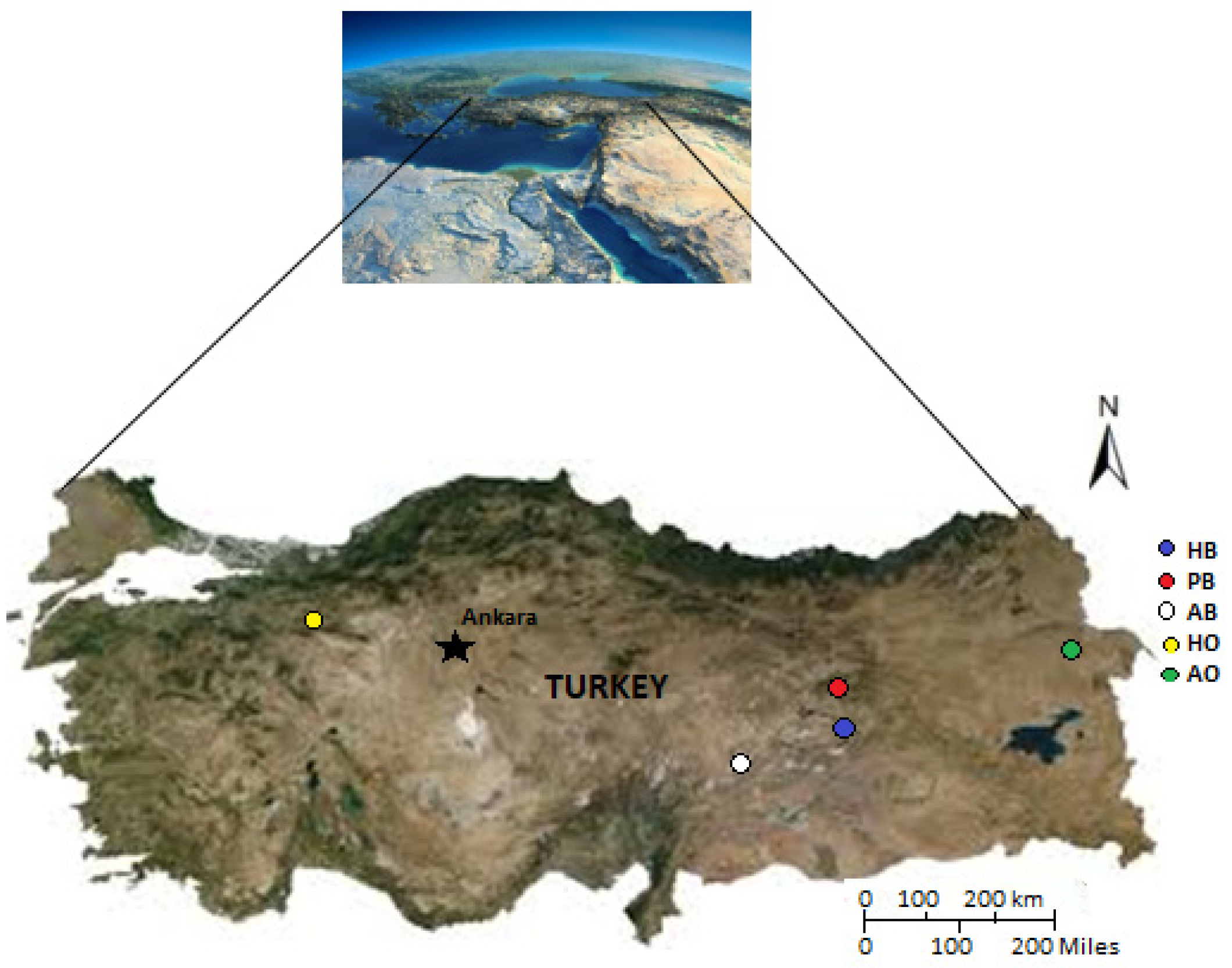 Sustainability 14 10298 g001