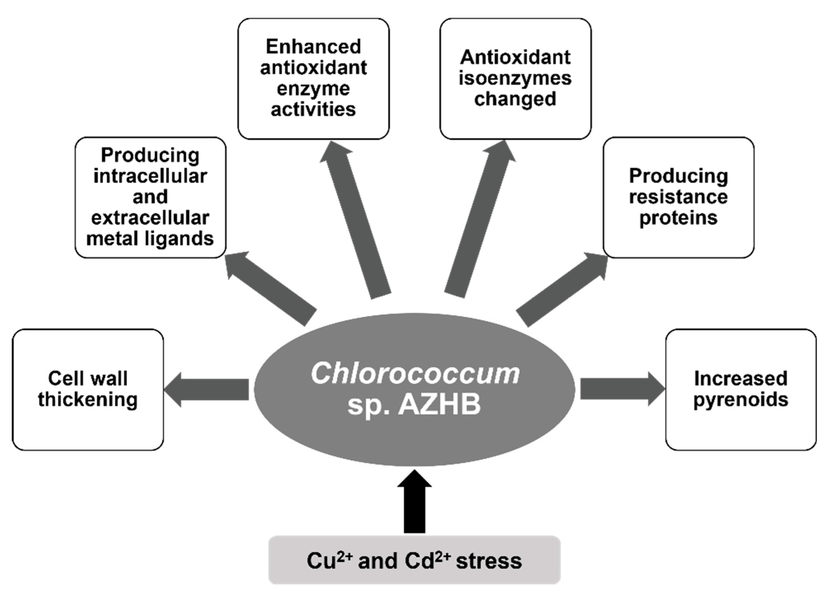 Sustainability 14 10320 g005