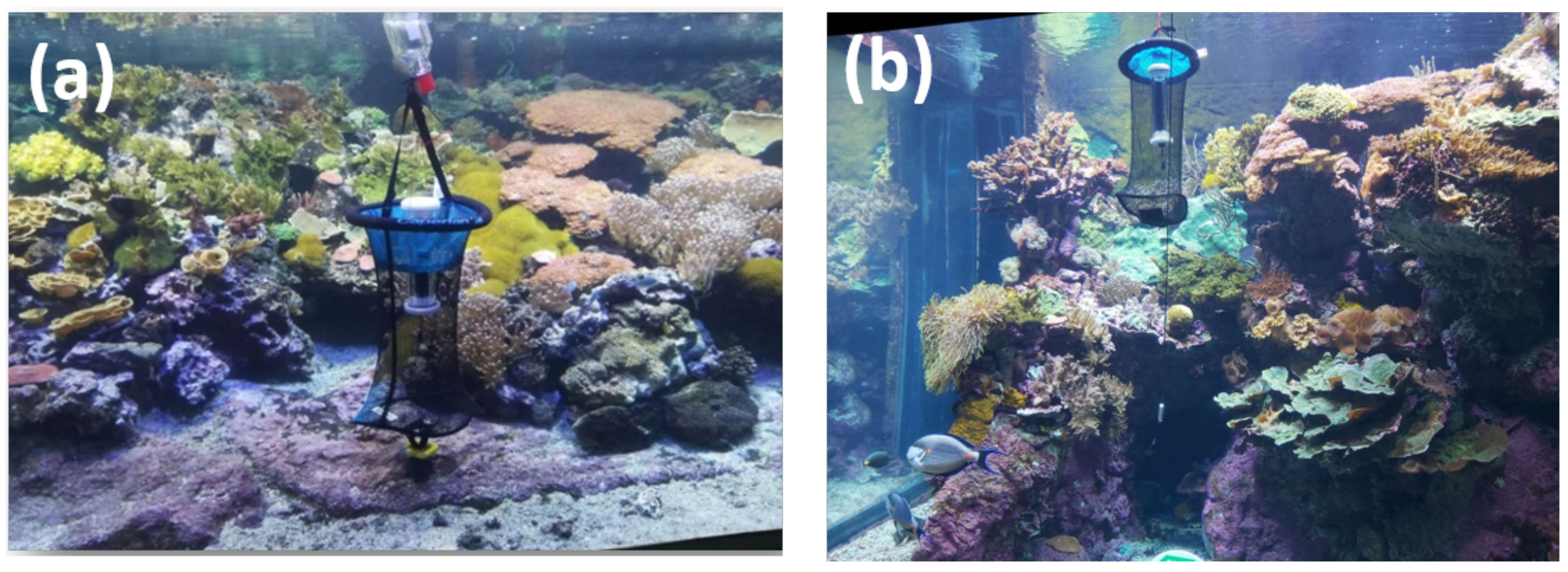 Sustainability 14 10359 g001