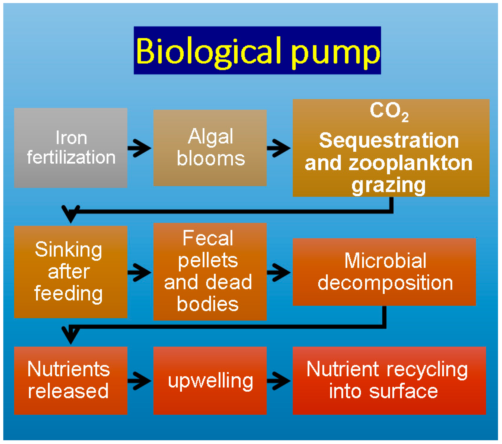 Sustainability 14 10372 g001