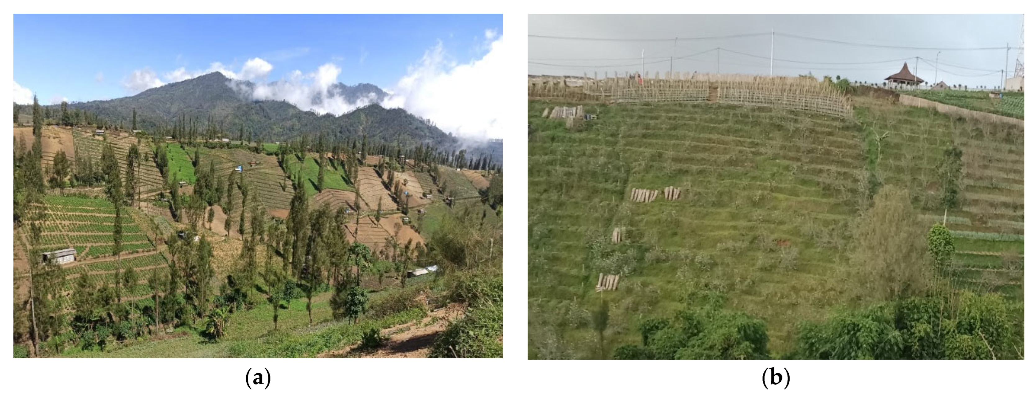 Sustainability 14 10382 g002