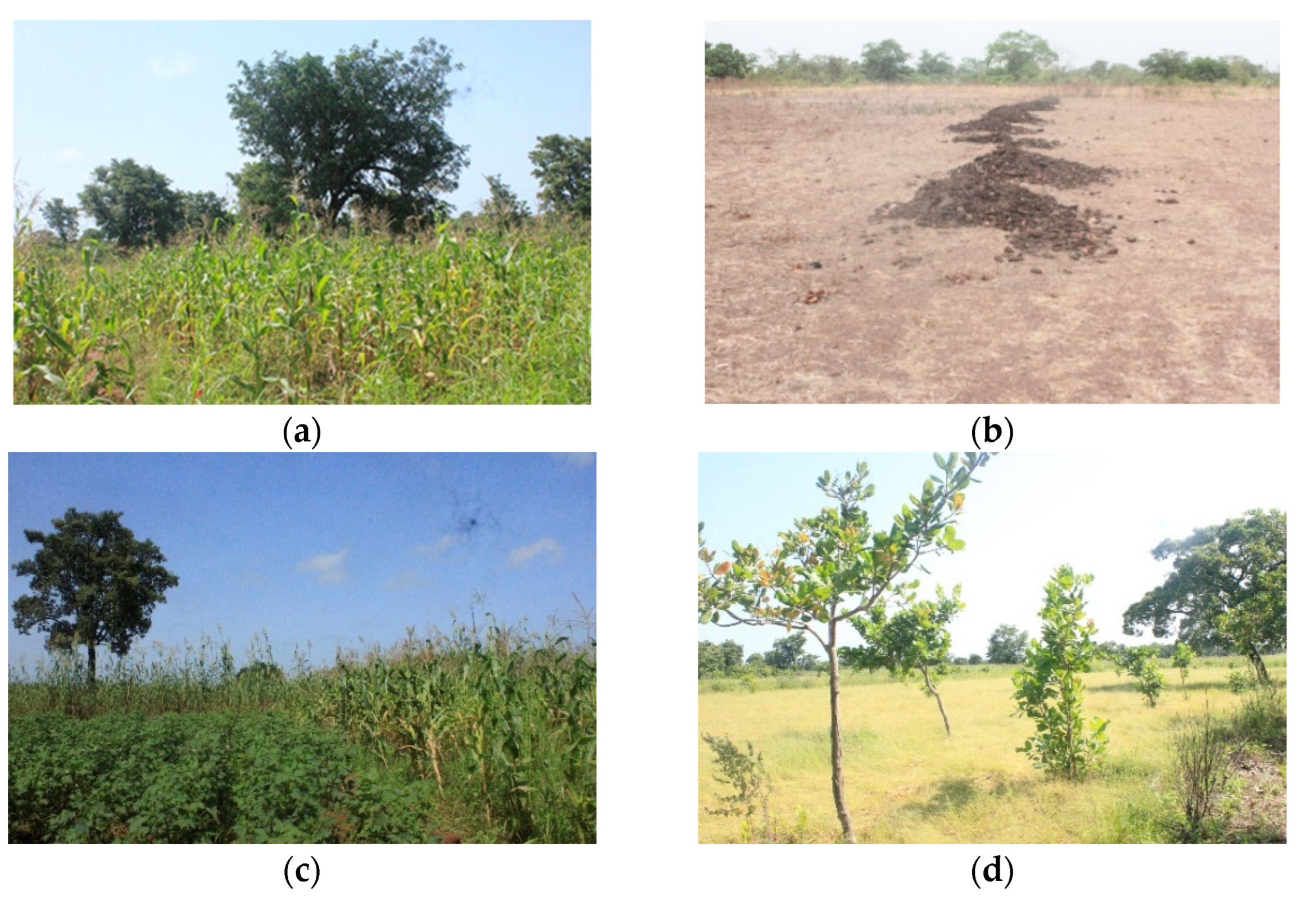 Sustainability 14 10410 g009