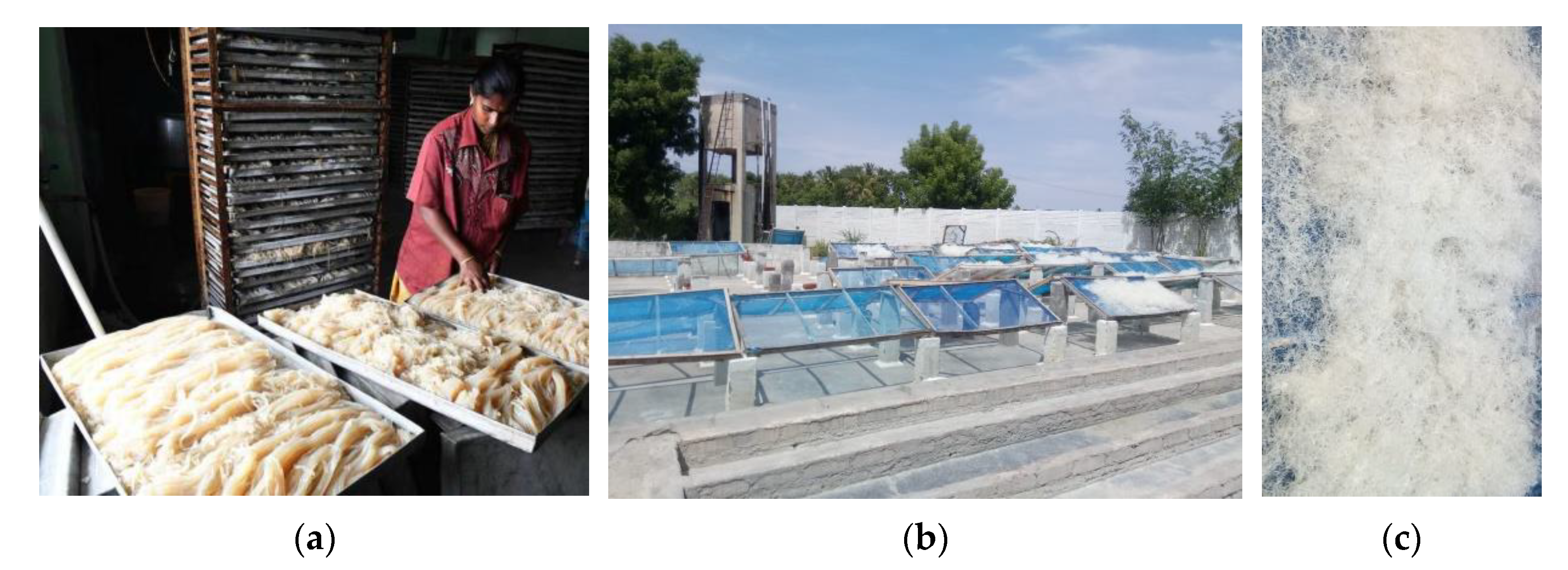 Sustainability 14 10416 g001