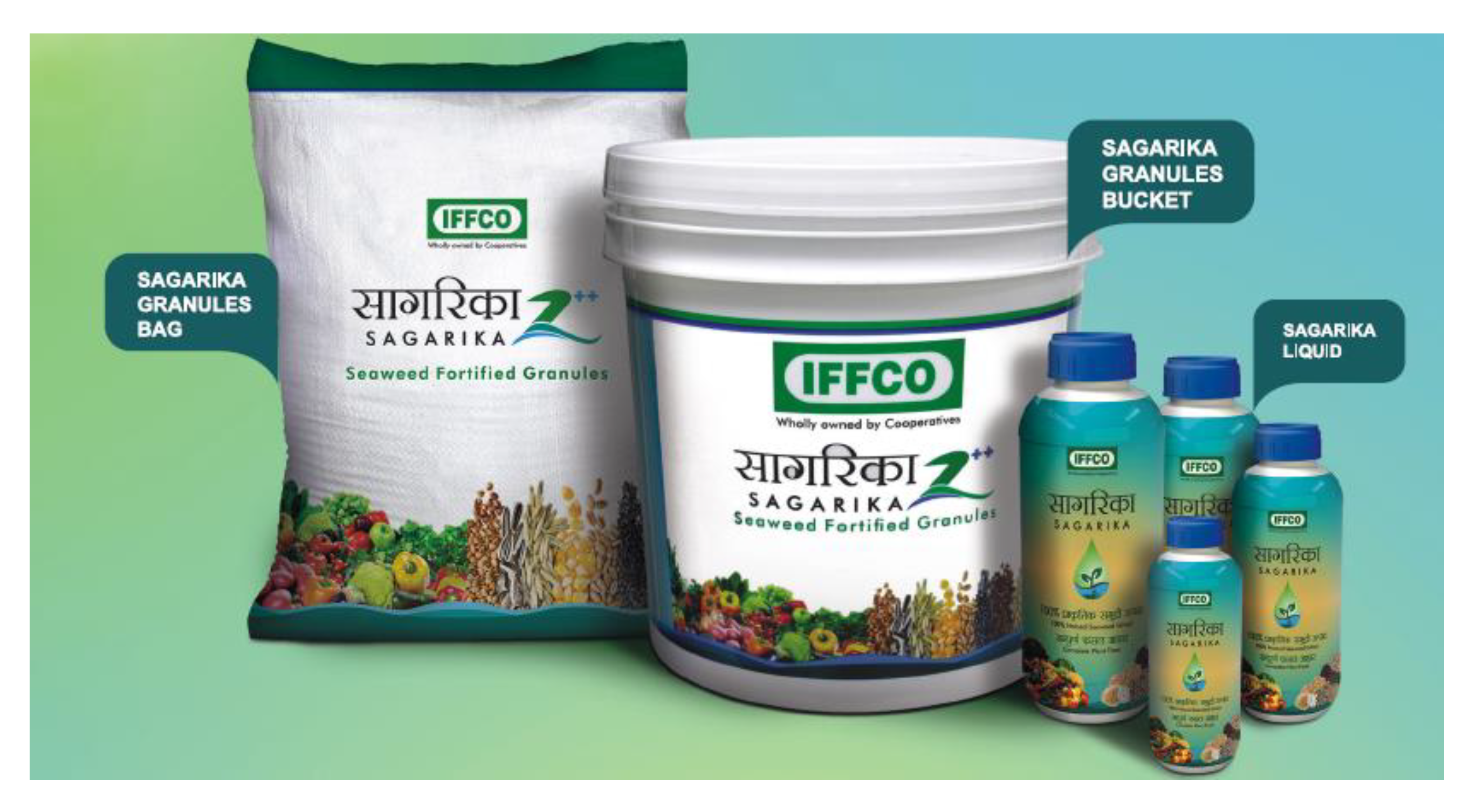 Sustainability 14 10416 g002