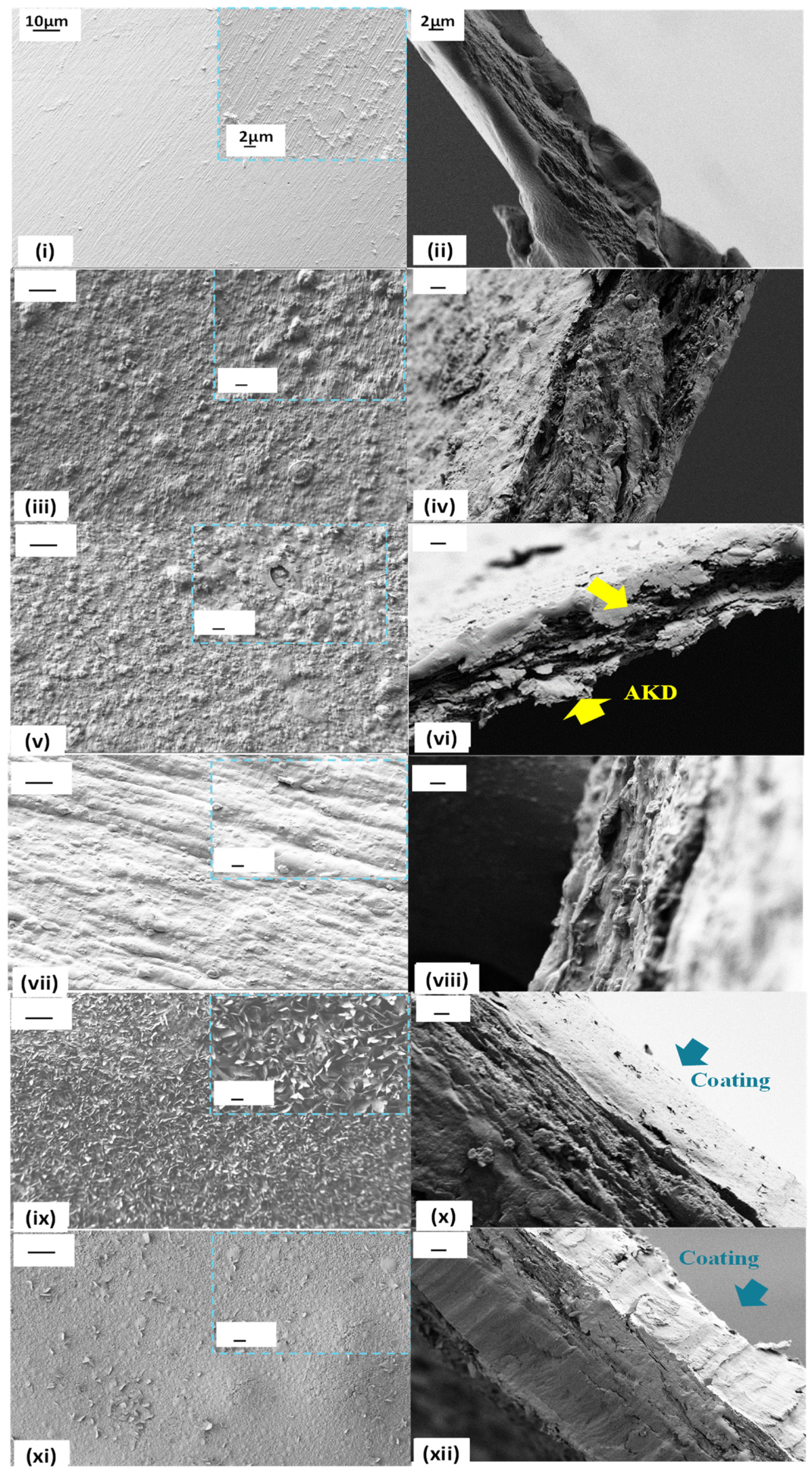 Sustainability 14 10425 g004