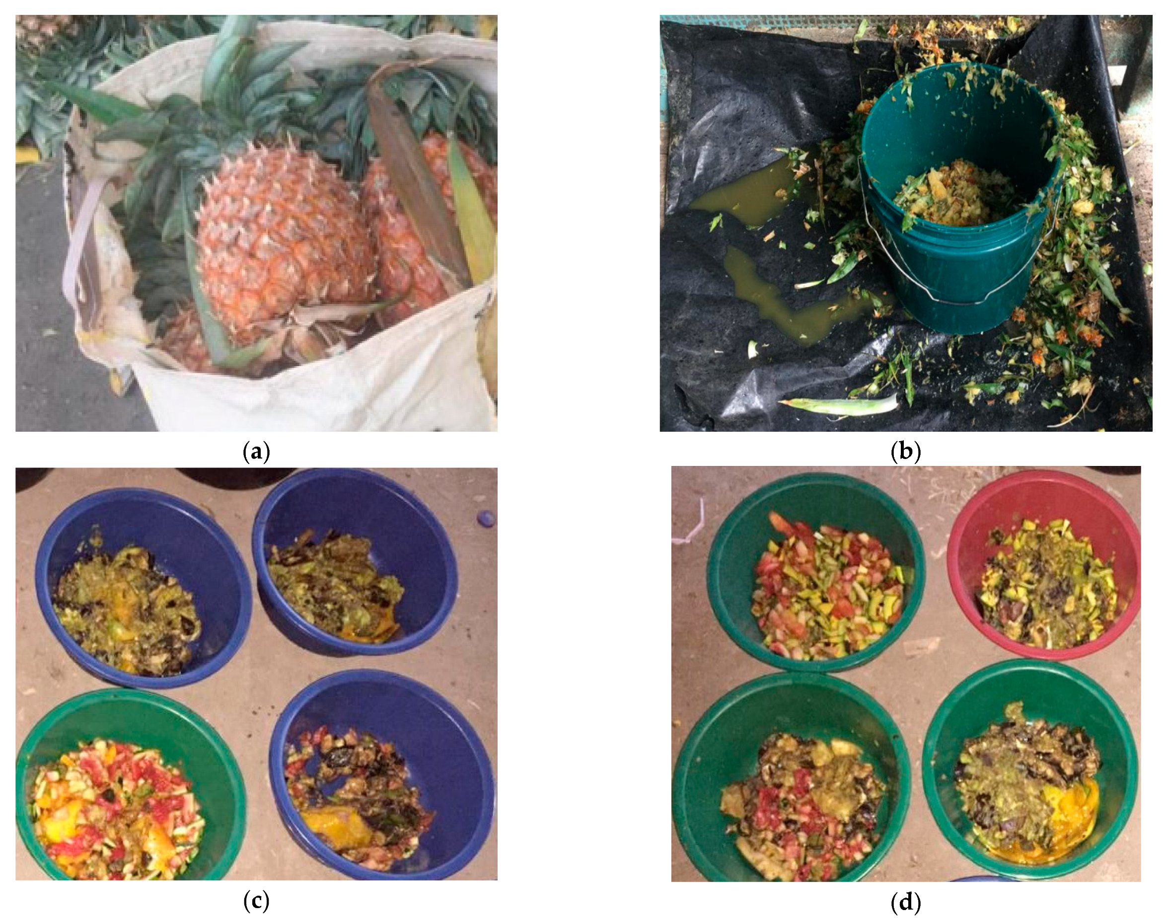 Sustainability 14 10494 g002