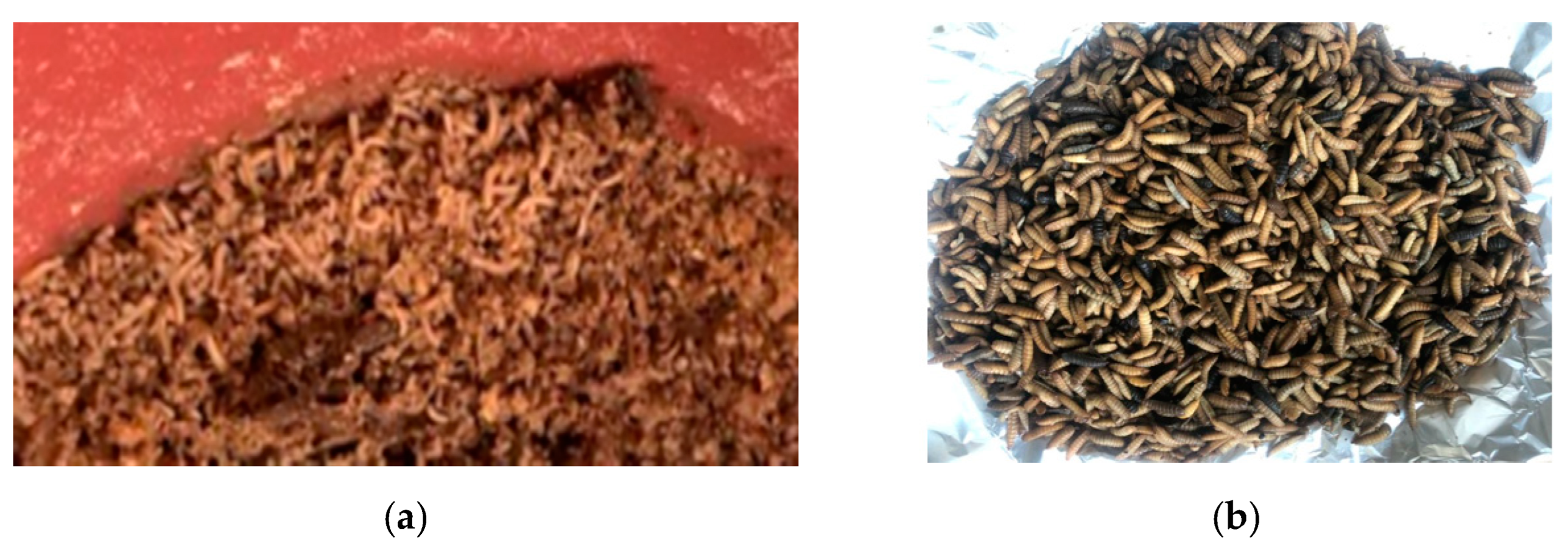 Sustainability 14 10494 g003