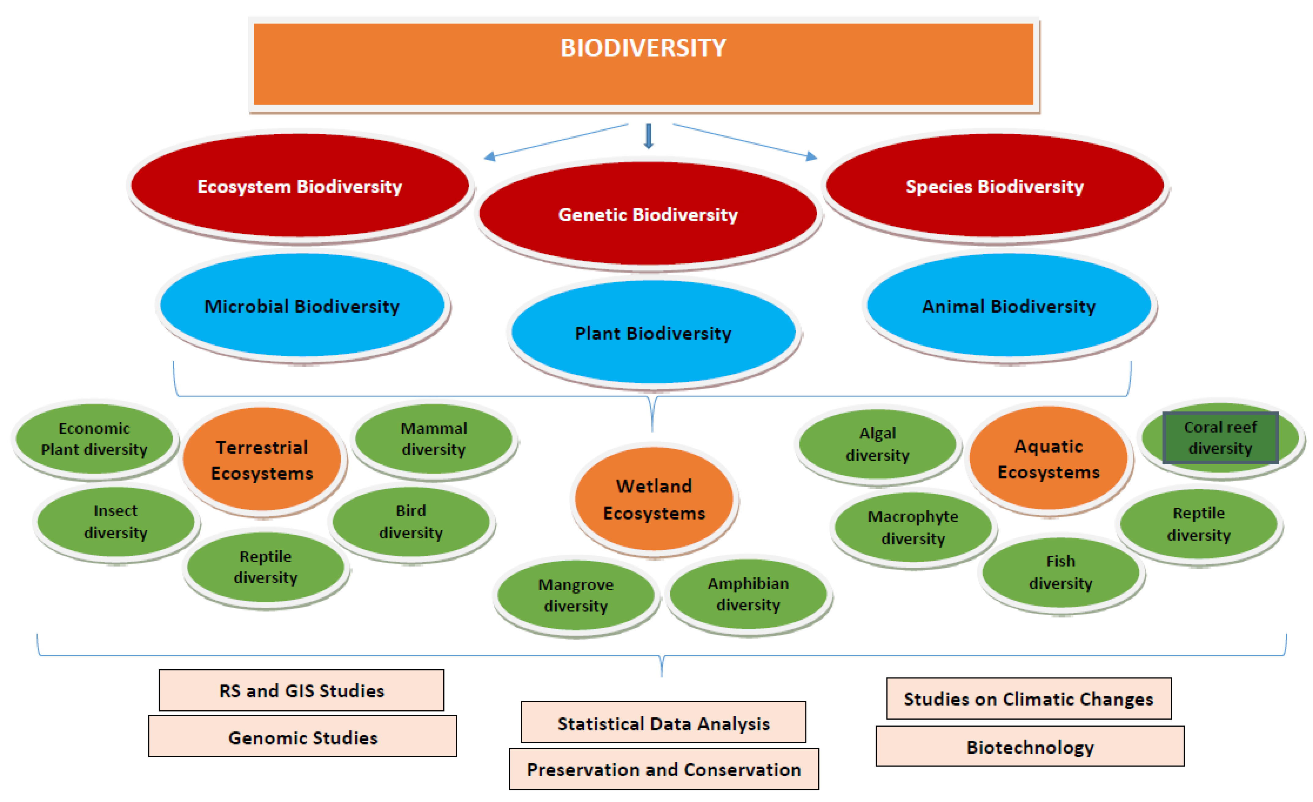 Sustainability 14 10564 g002