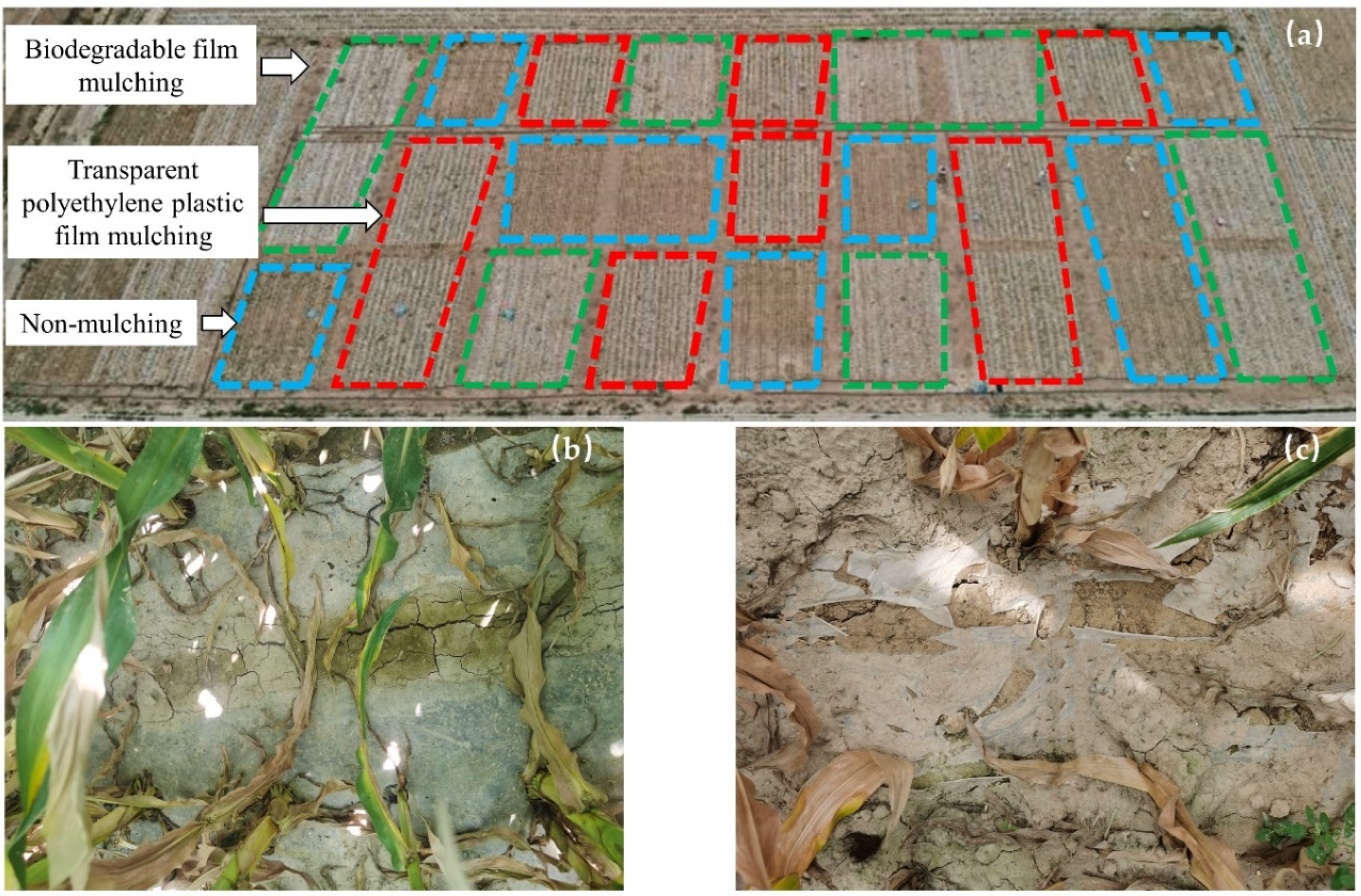 Sustainability 14 10584 g001