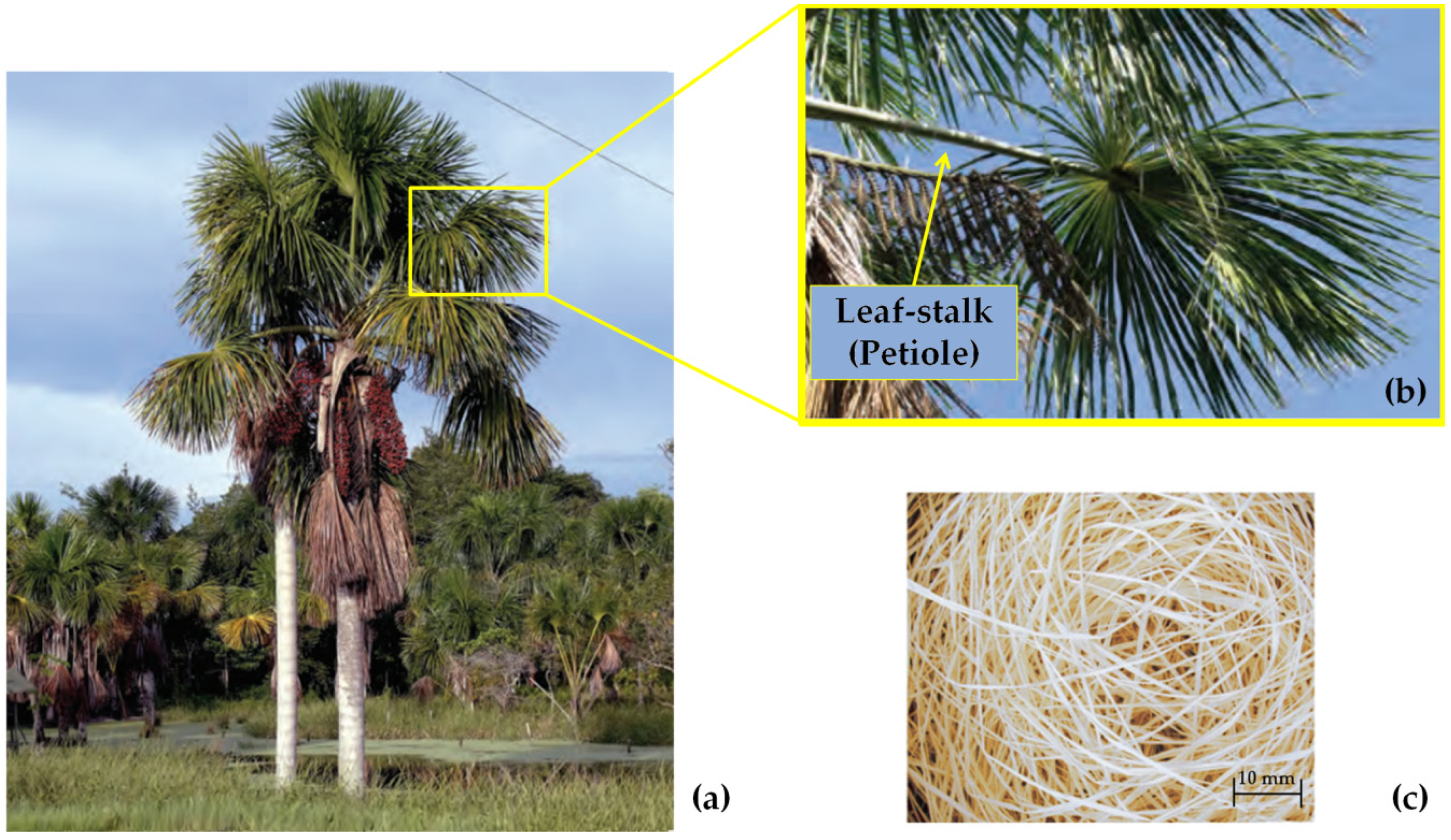 Sustainability 14 10591 g001