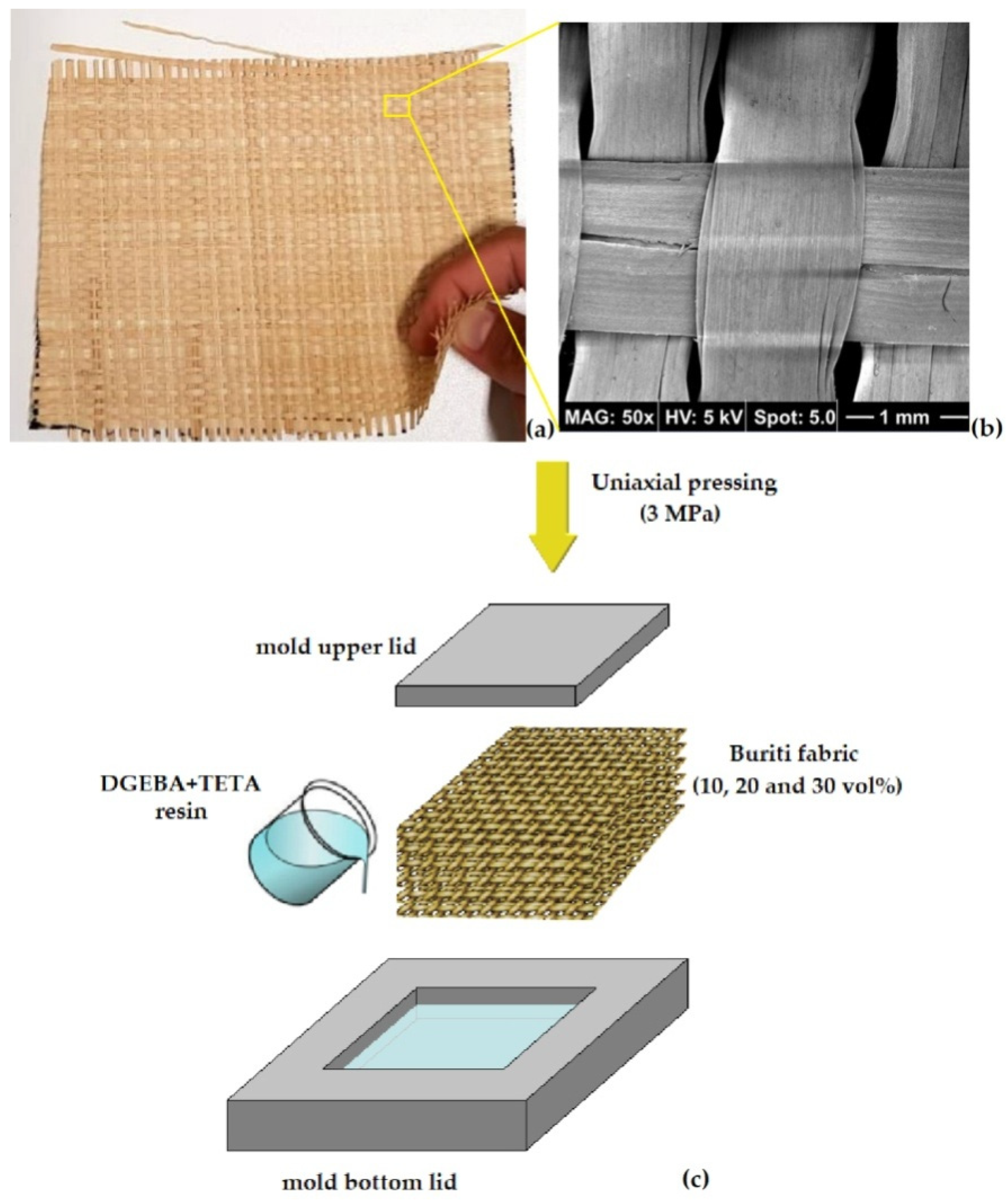 Sustainability 14 10591 g002