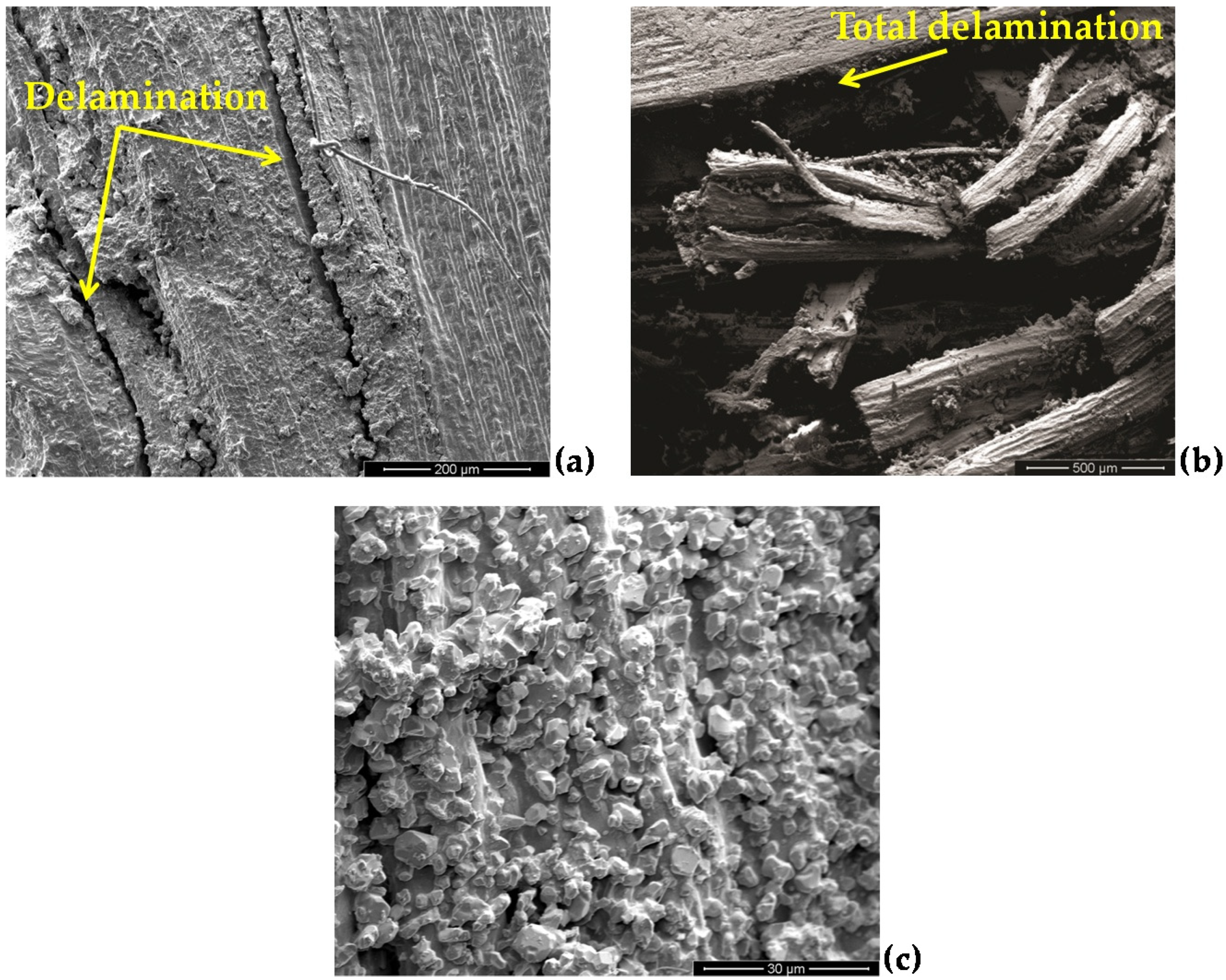 Sustainability 14 10591 g008