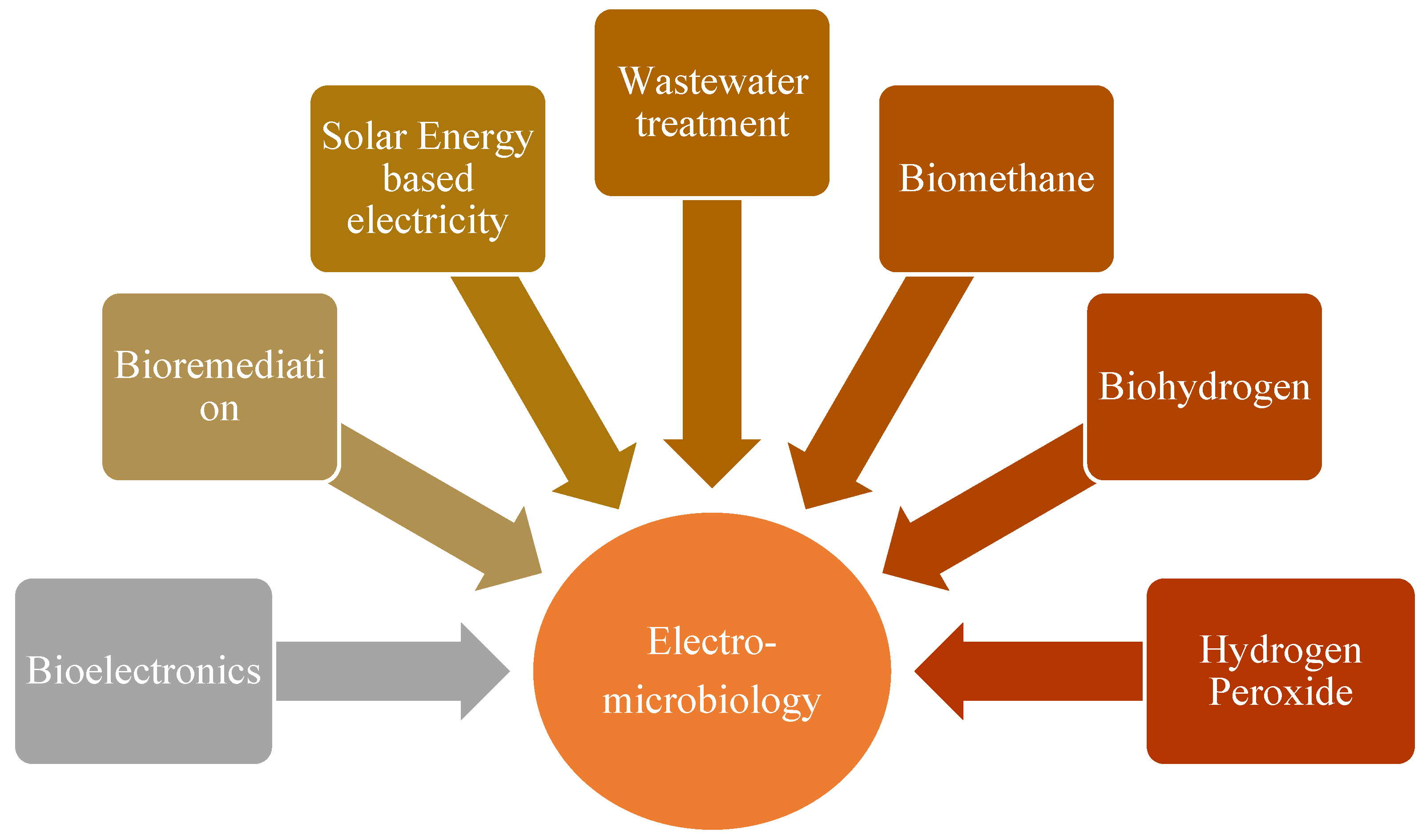 Sustainability 14 10676 g001