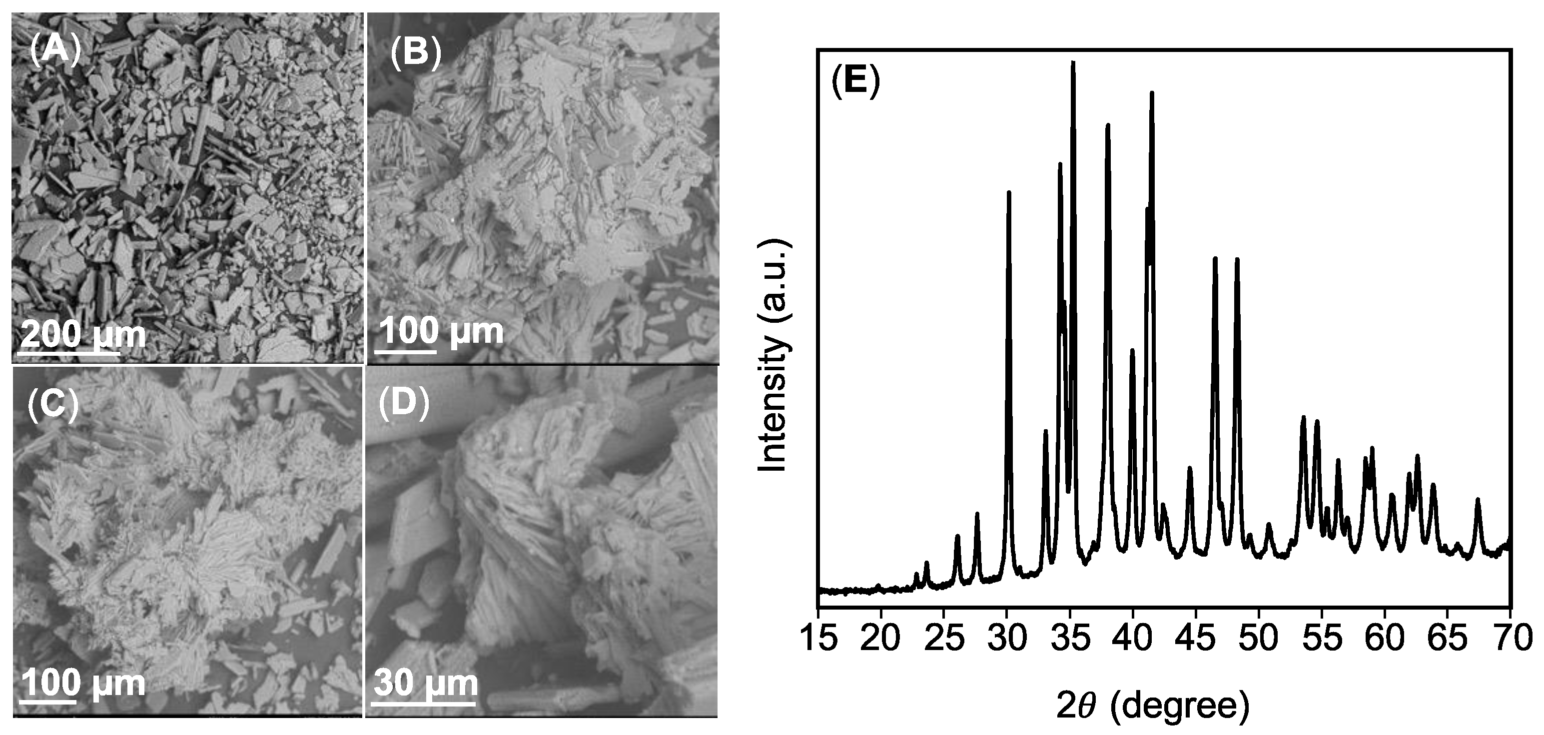 Sustainability 14 10795 g005